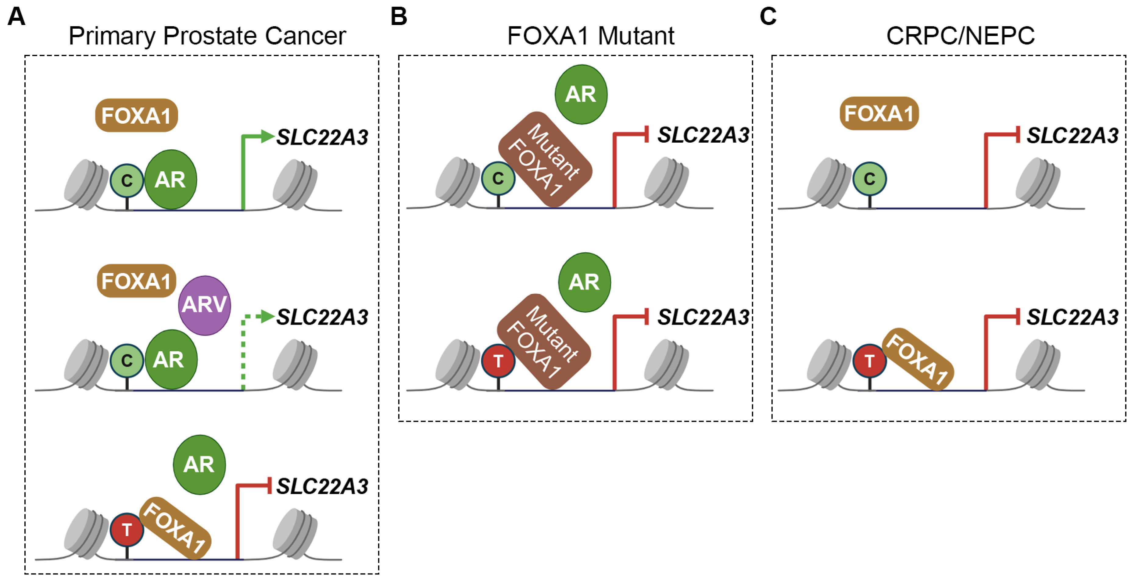 Biomolecules 15 00064 g006