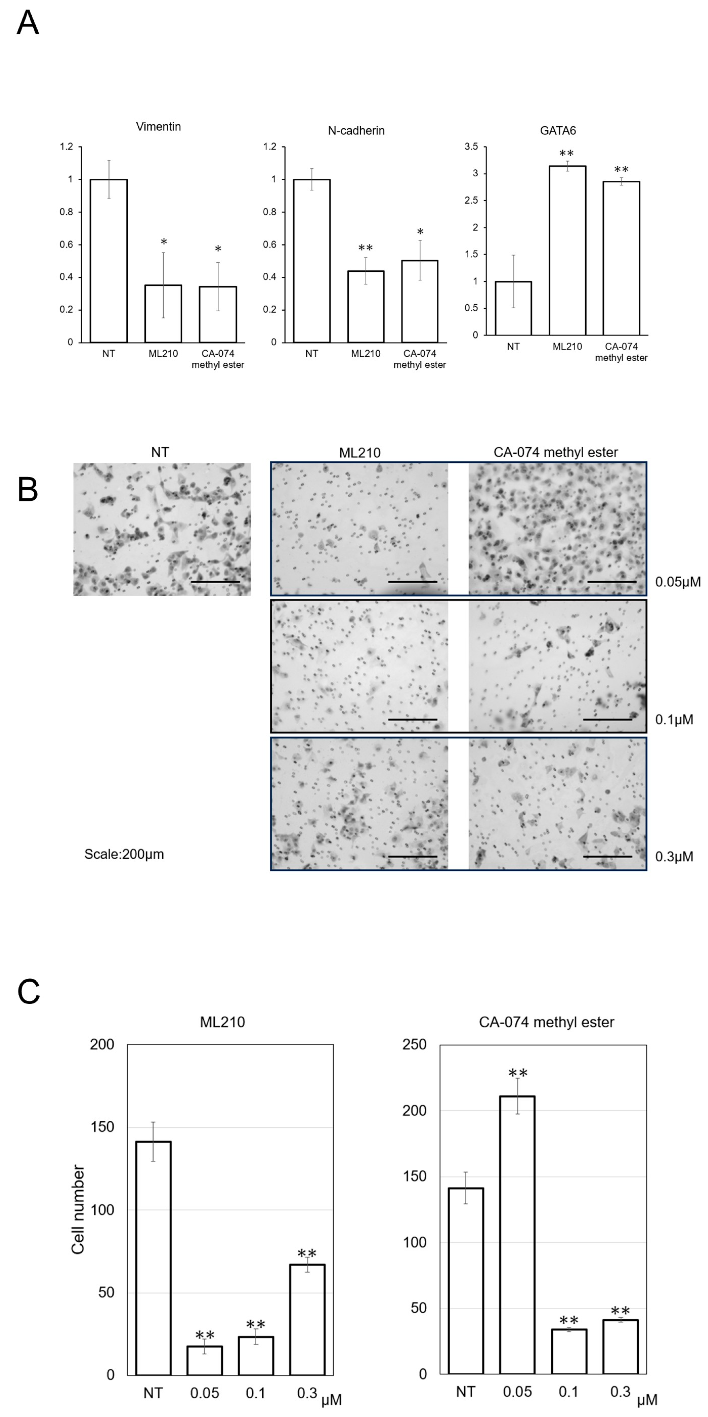 Biomolecules 15 00070 g002