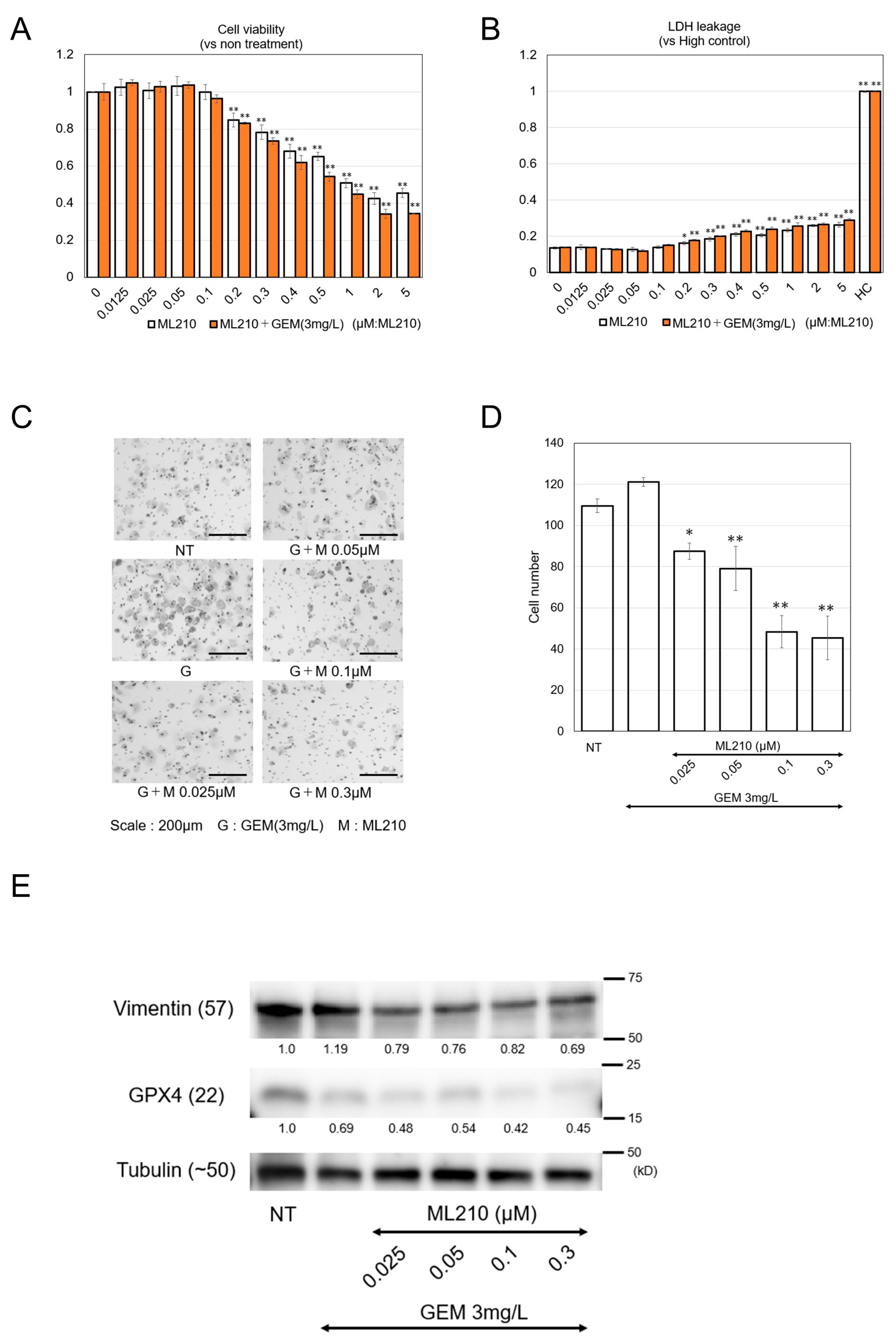 Biomolecules 15 00070 g003