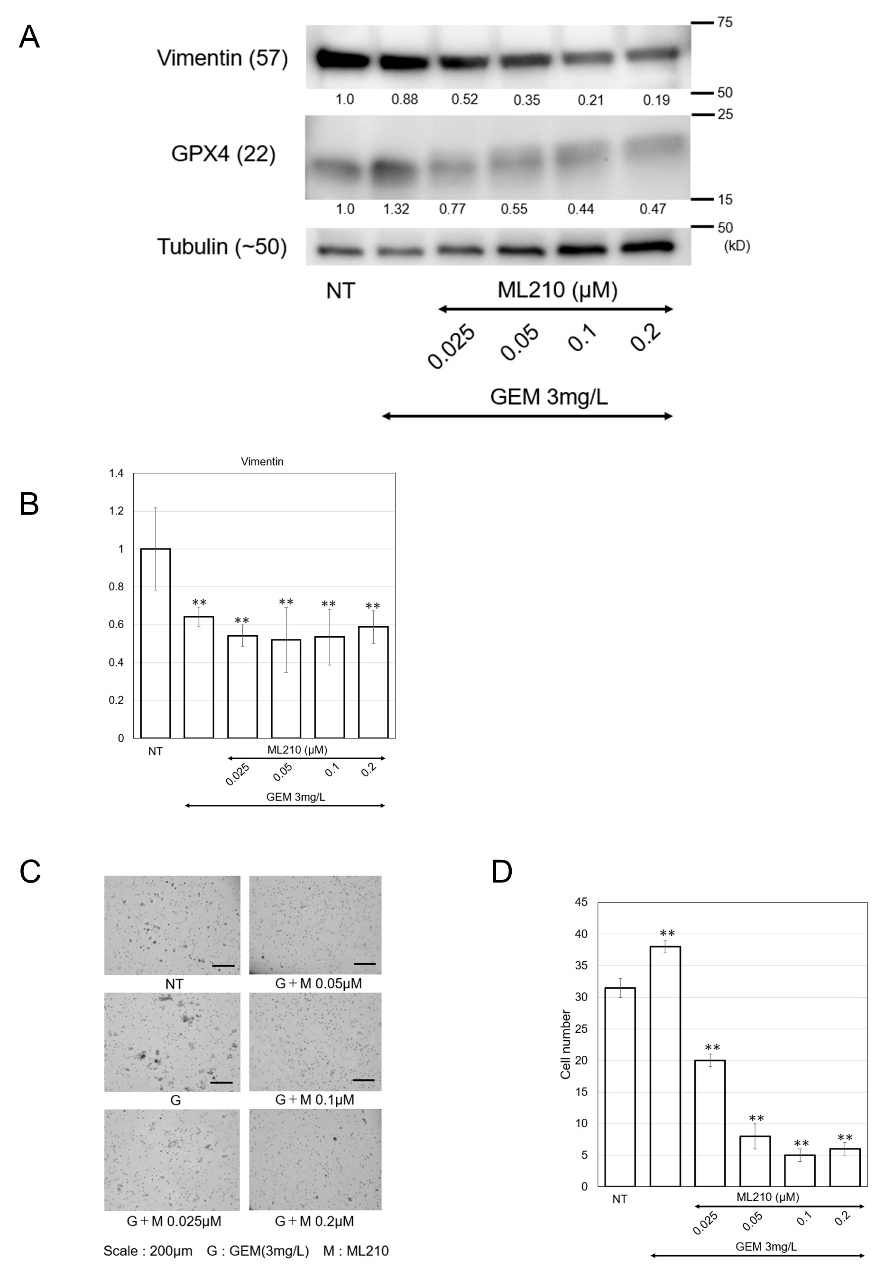 Biomolecules 15 00070 g005