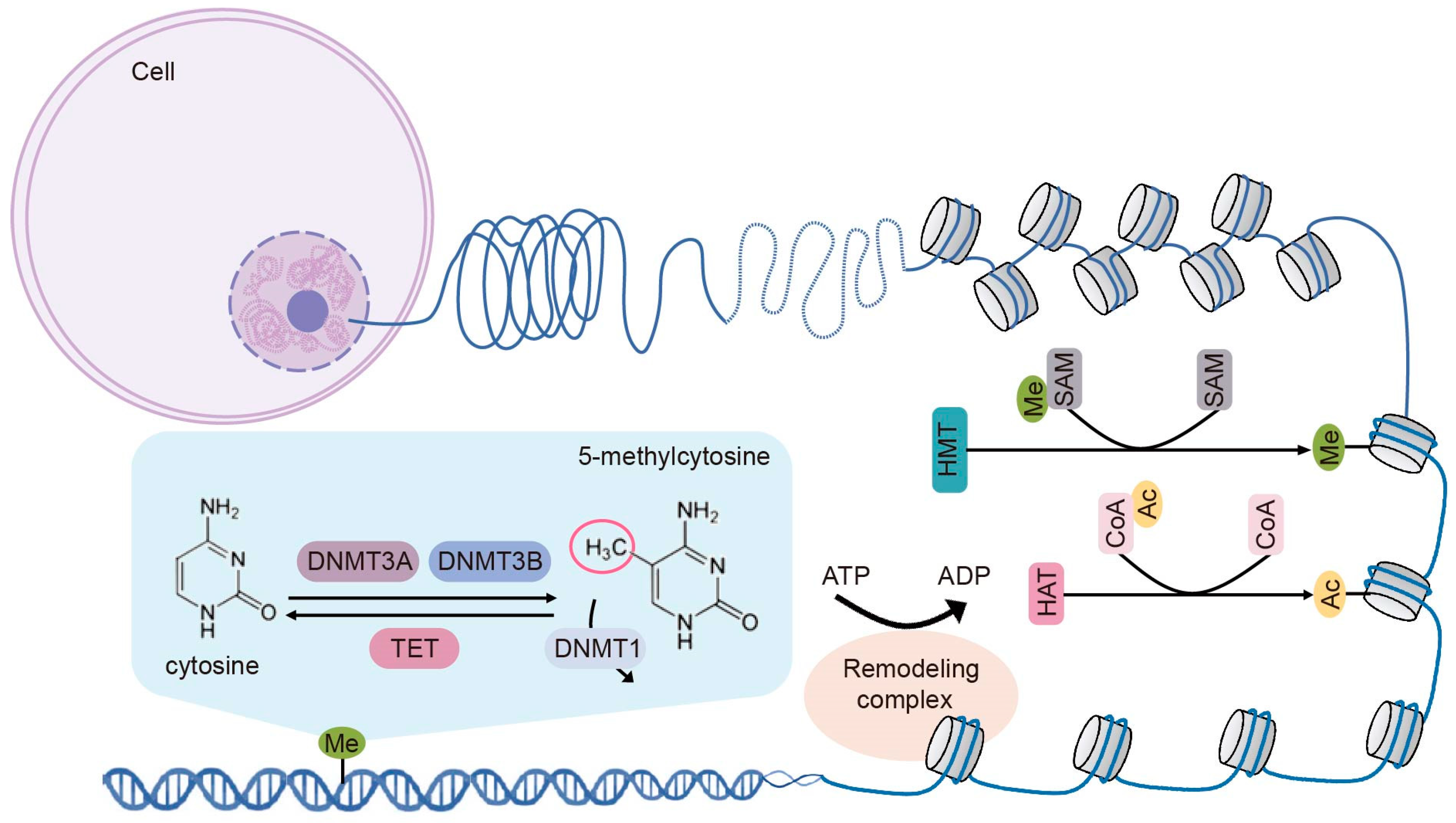 Biomolecules 15 00071 g001