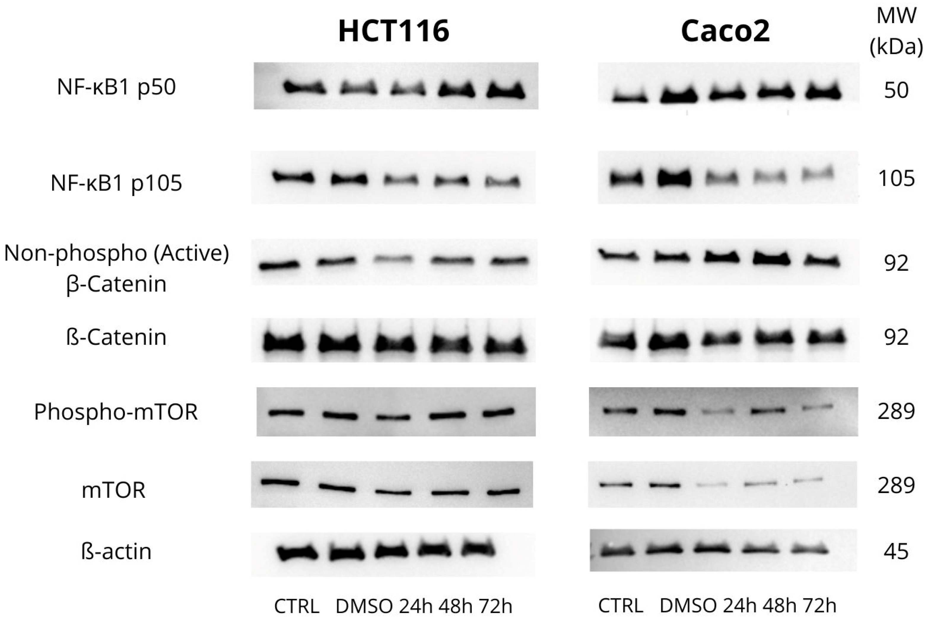 Biomolecules 15 00072 g007