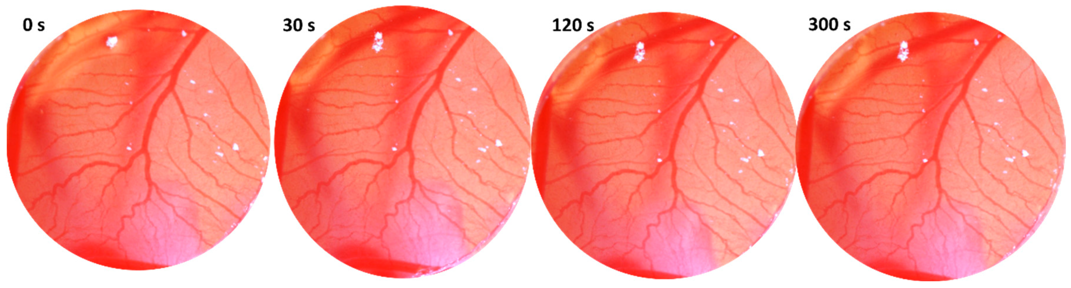 Biomolecules 15 00072 g011
