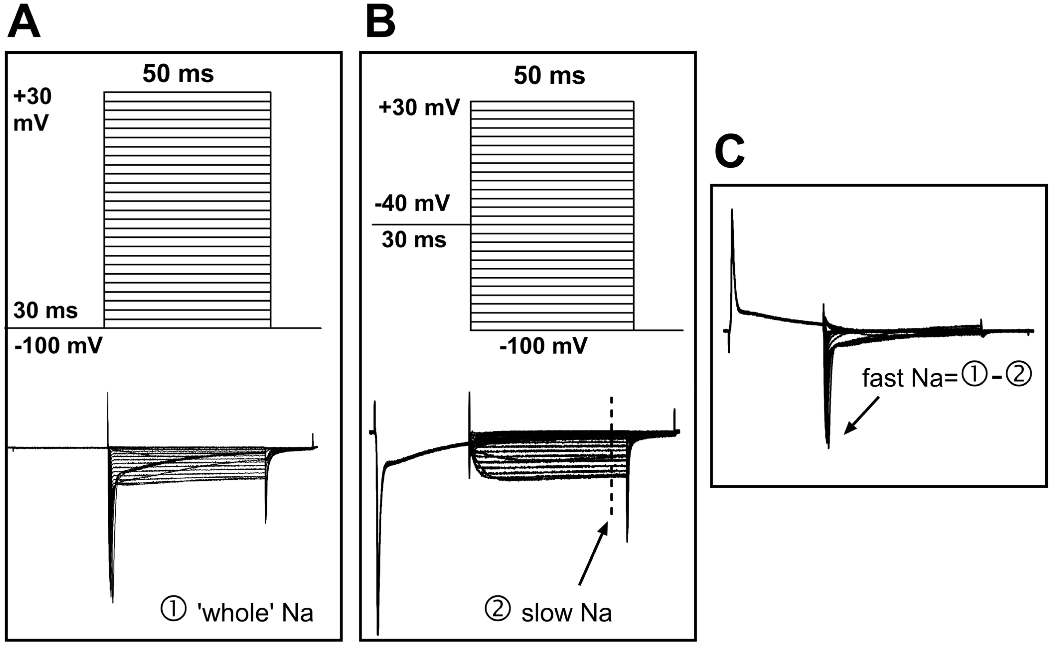 Biomolecules 15 00073 g002