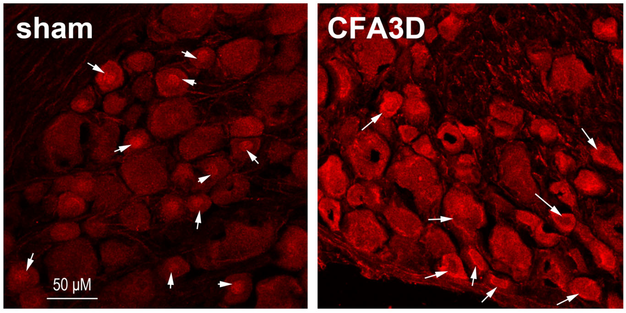 Biomolecules 15 00073 g004