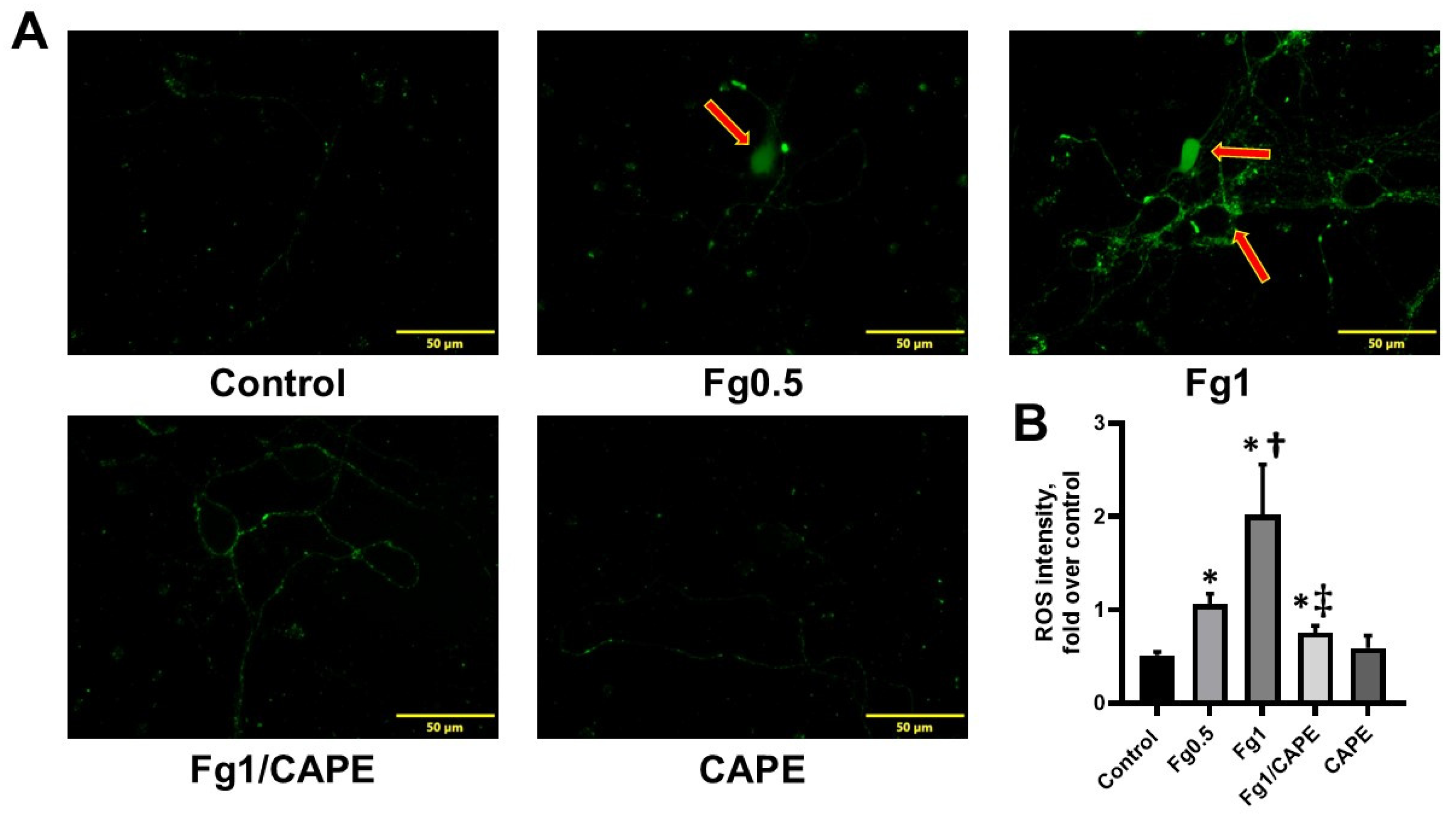 Biomolecules 15 00080 g001