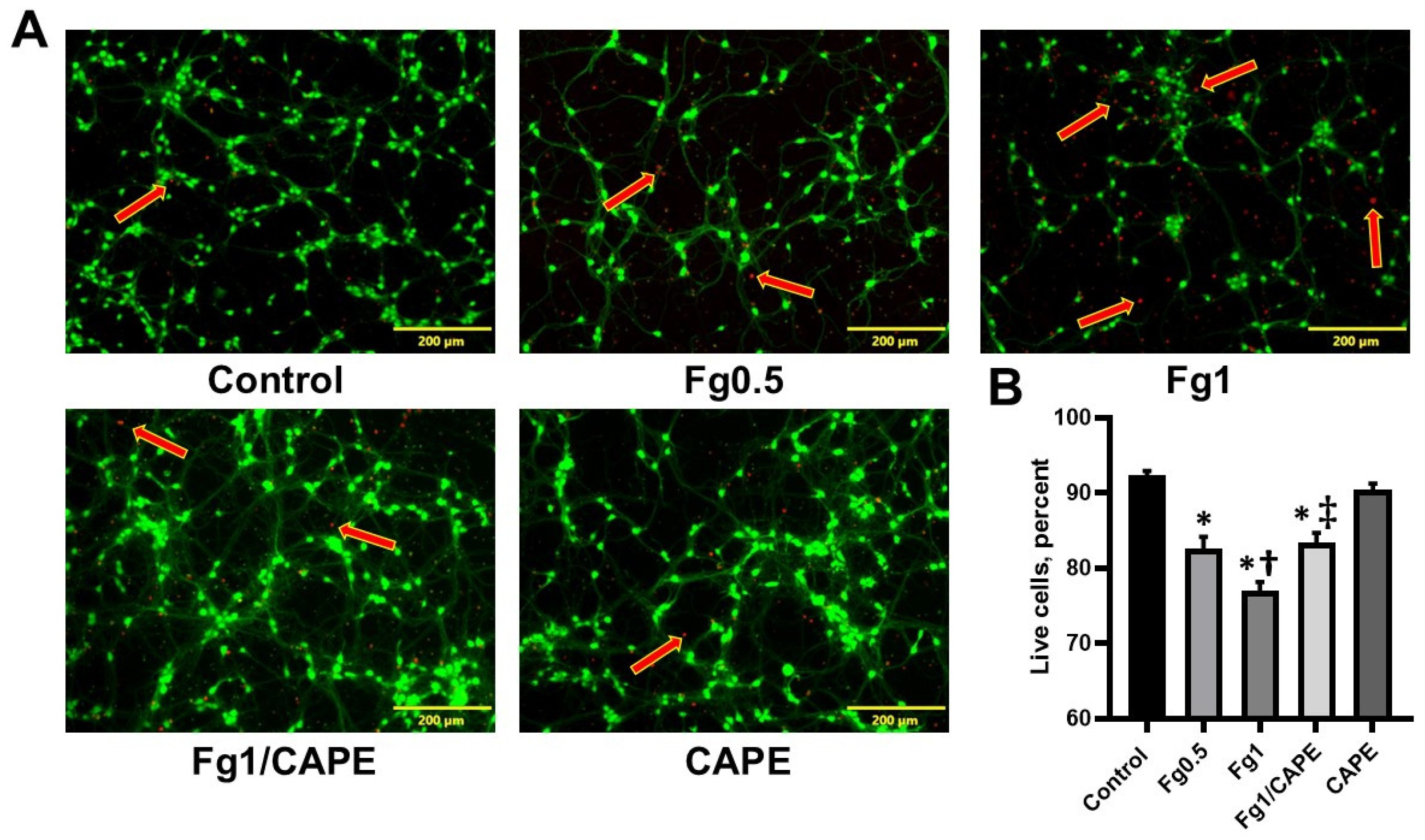 Biomolecules 15 00080 g002