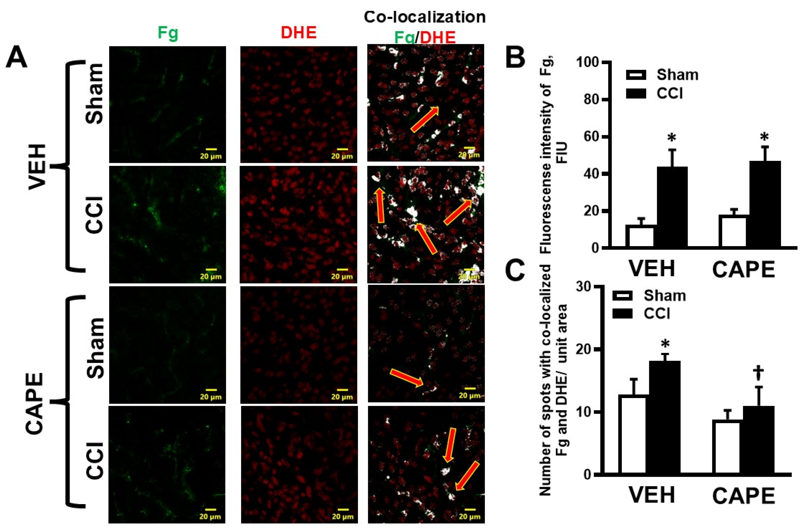 Biomolecules 15 00080 g003