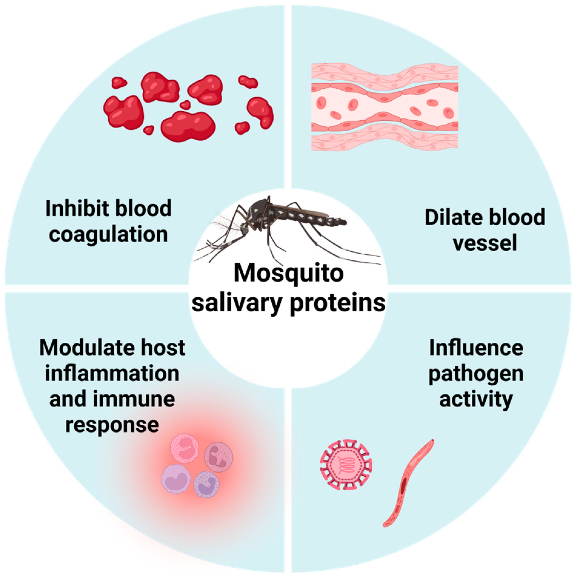Biomolecules 15 00082 g001