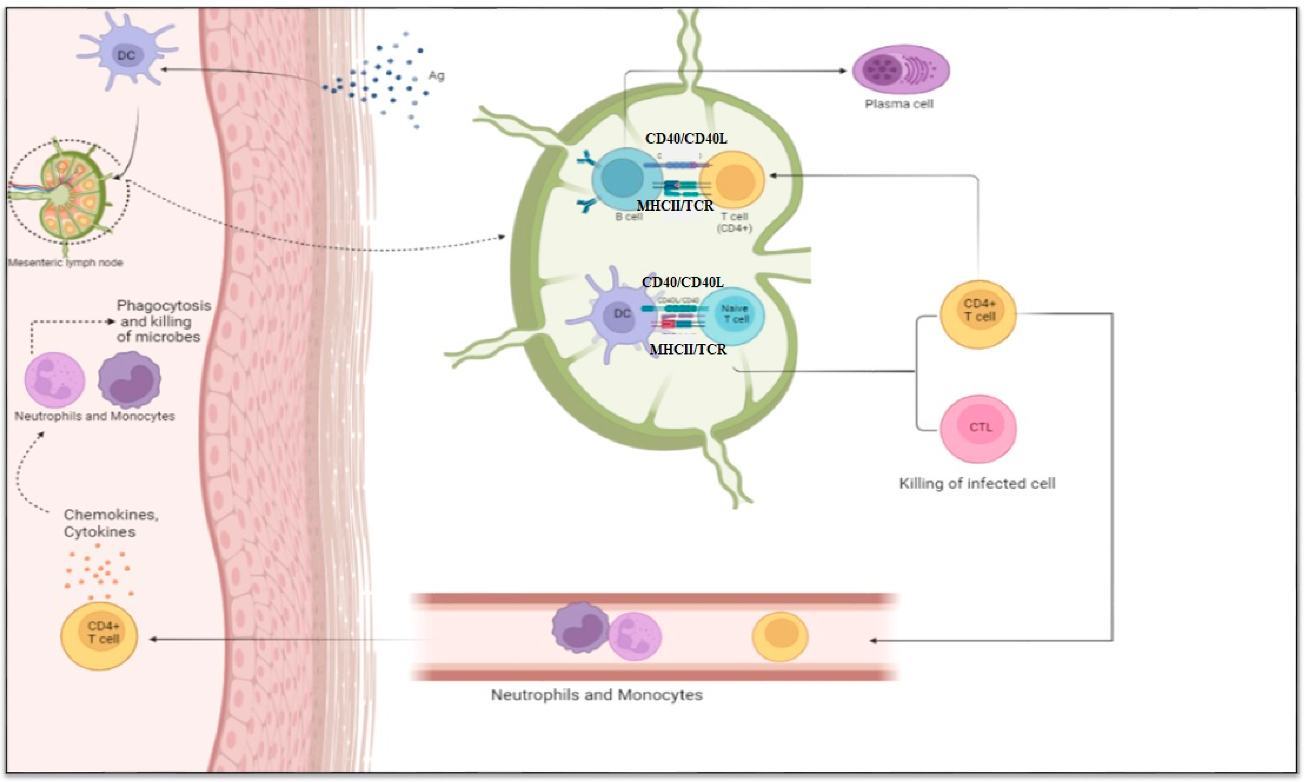 Biomolecules 15 00084 g001 Biomolecules 15 00084 g001