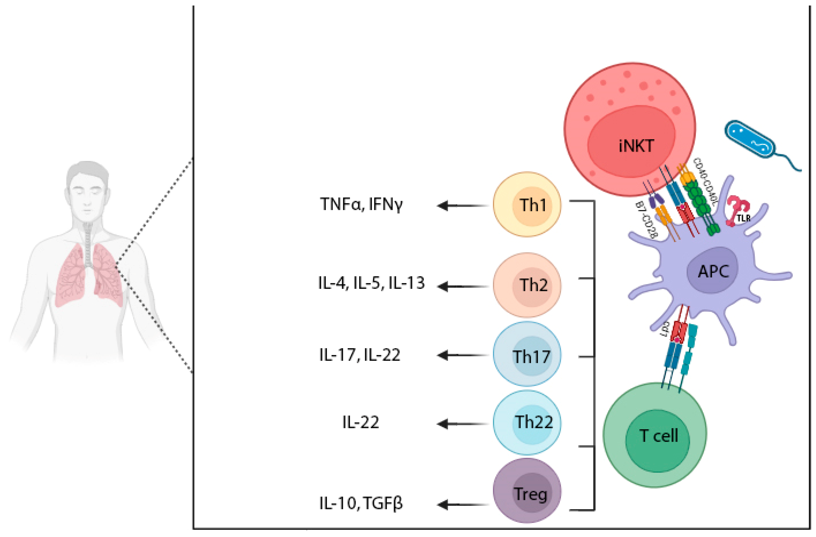 Biomolecules 15 00084 g003 Biomolecules 15 00084 g003