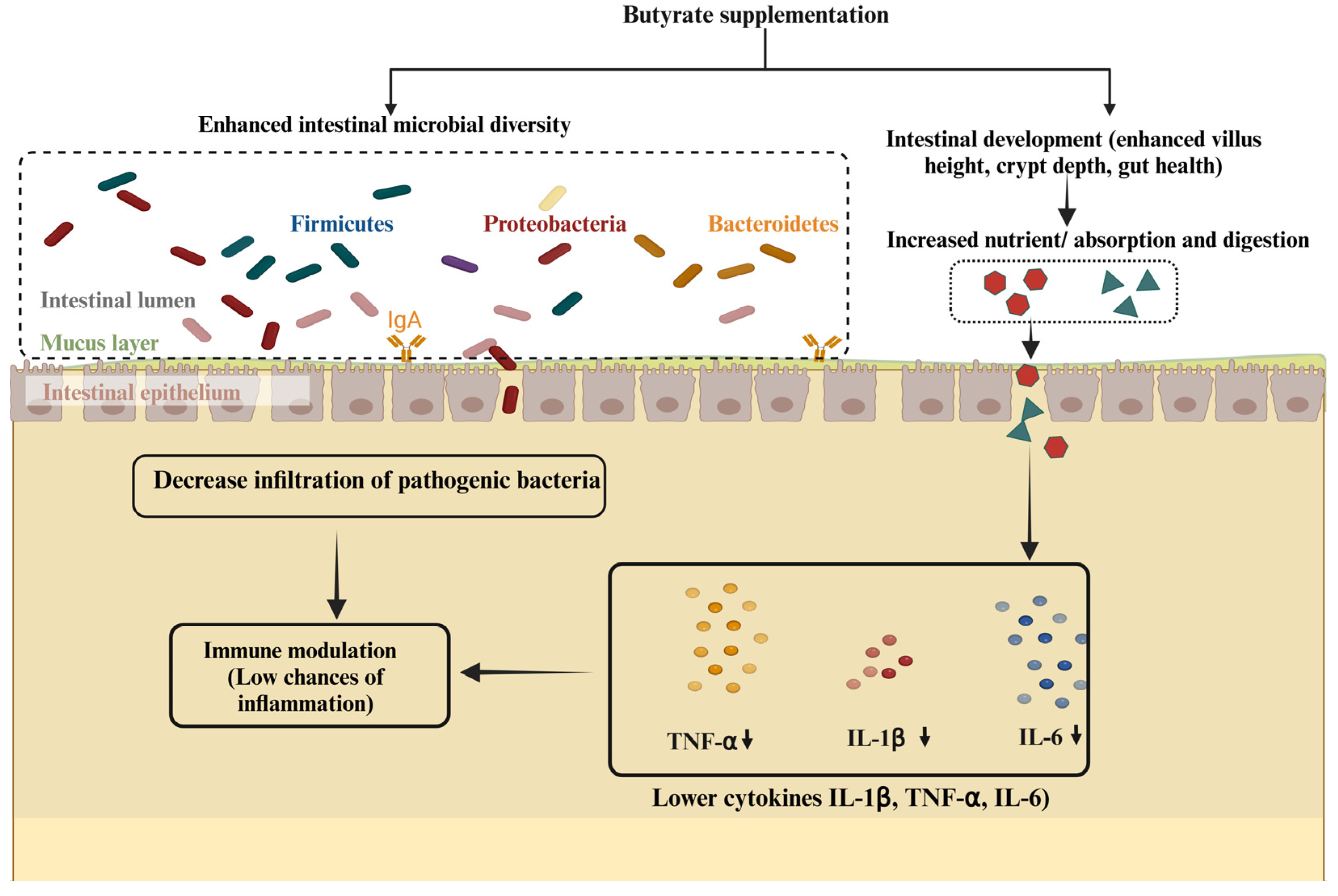 Biomolecules 15 00085 g001