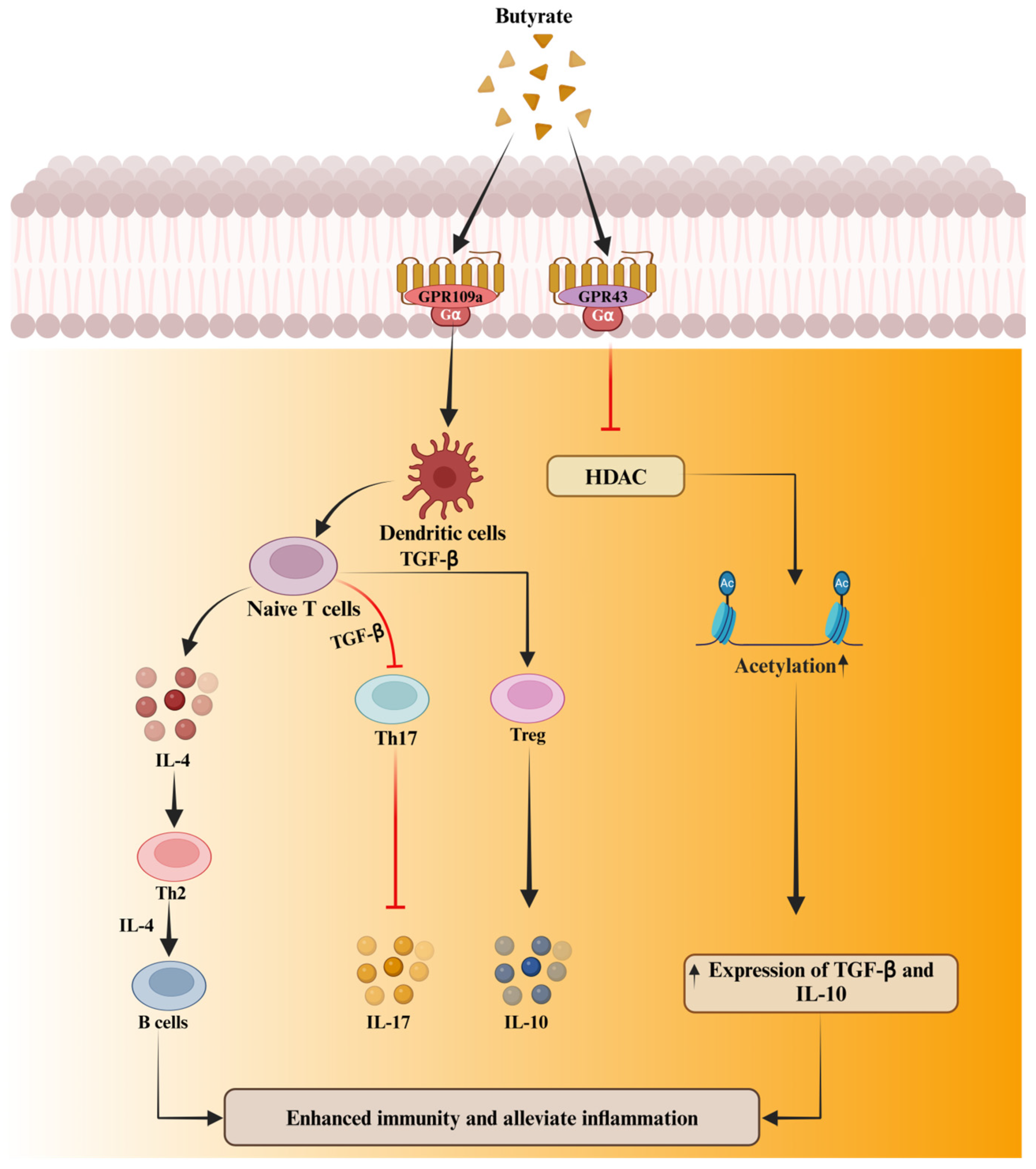 Biomolecules 15 00085 g003