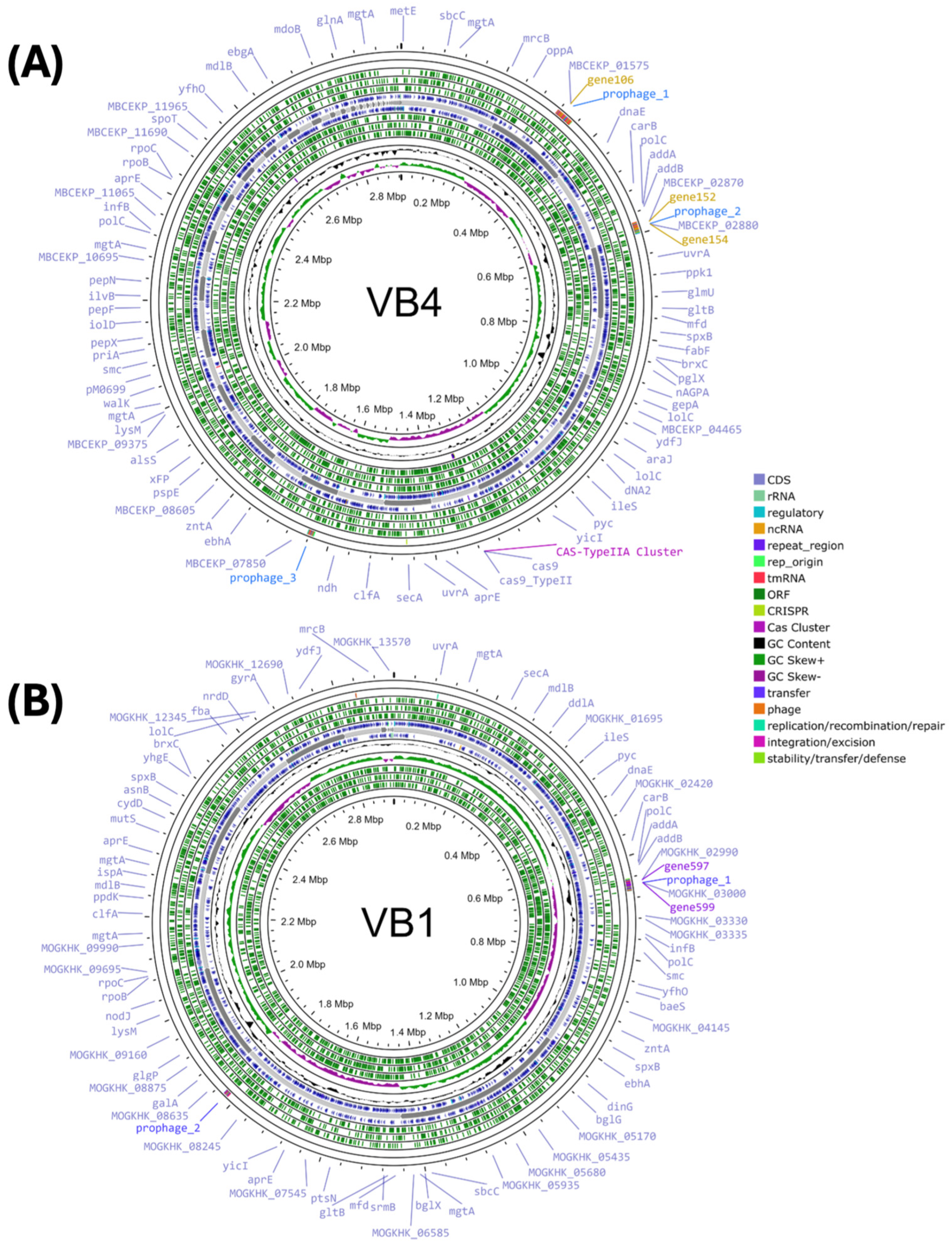 Biomolecules 15 00086 g001 Biomolecules 15 00086 g001