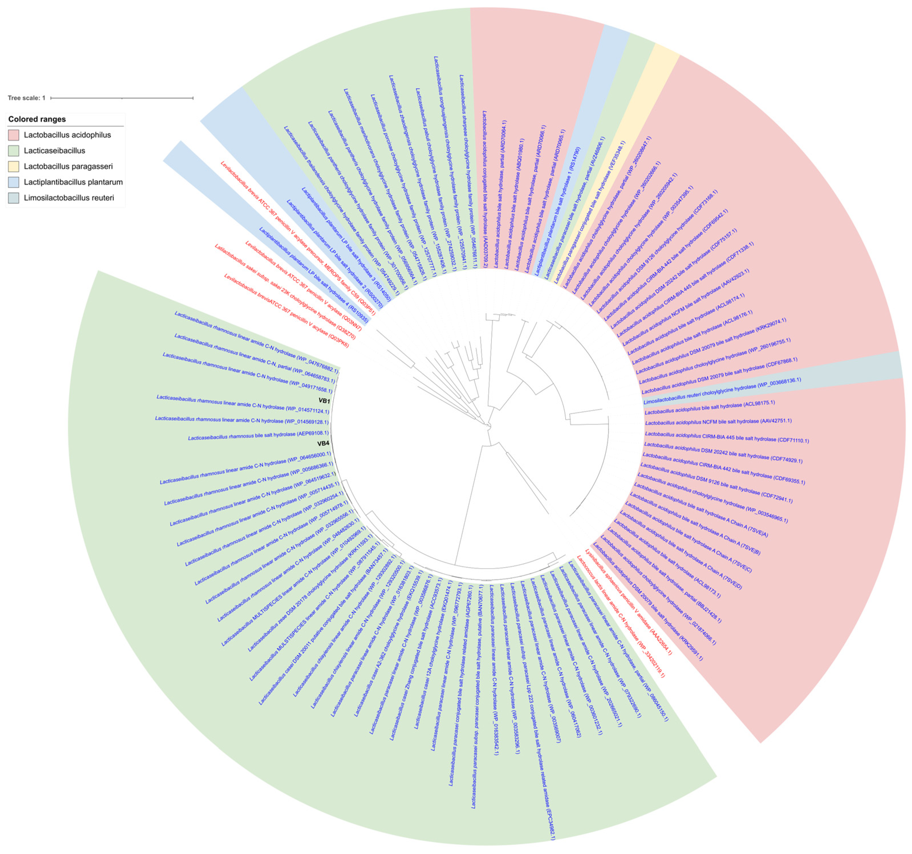 Biomolecules 15 00086 g007 Biomolecules 15 00086 g007