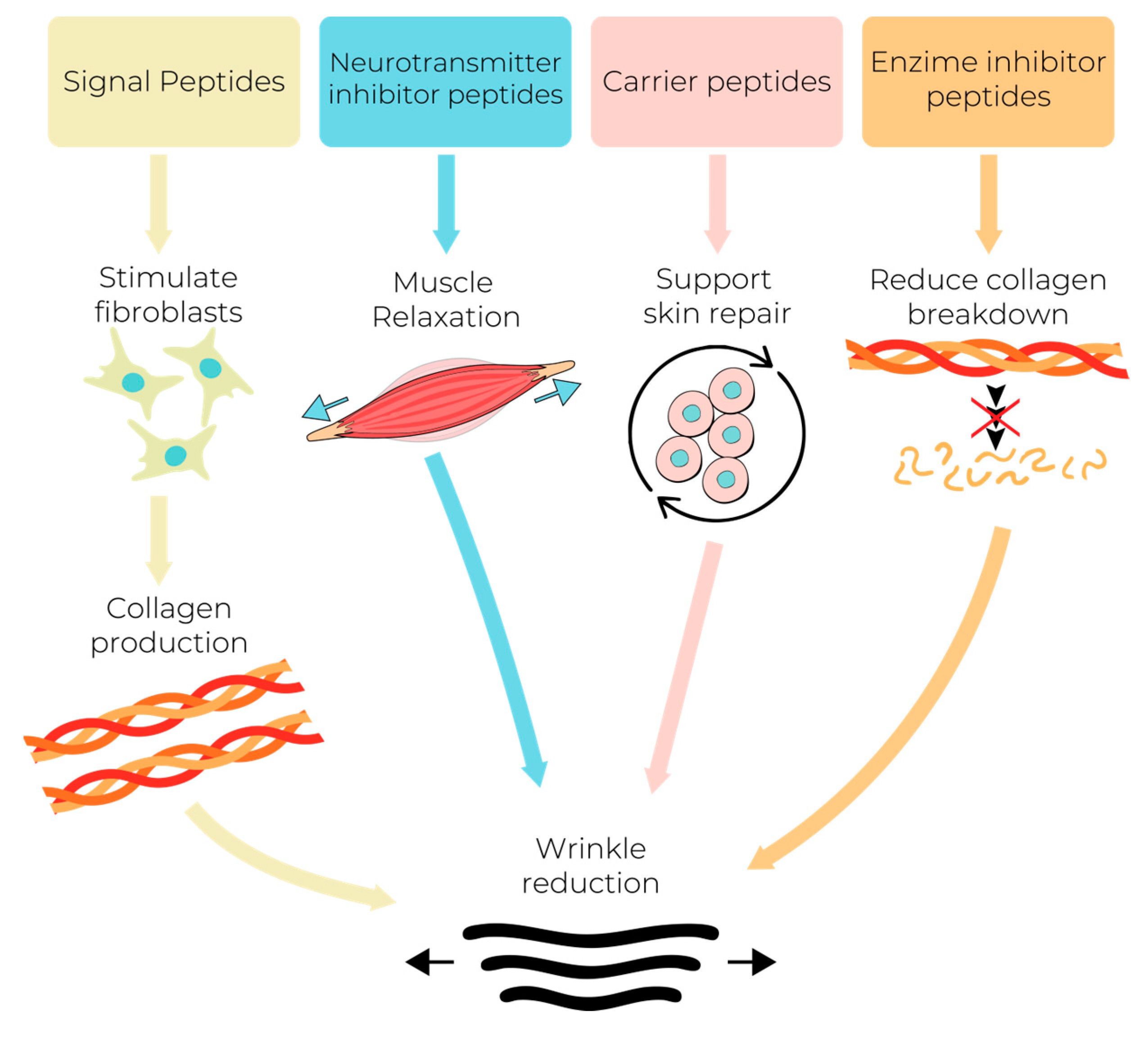 Biomolecules 15 00088 g001