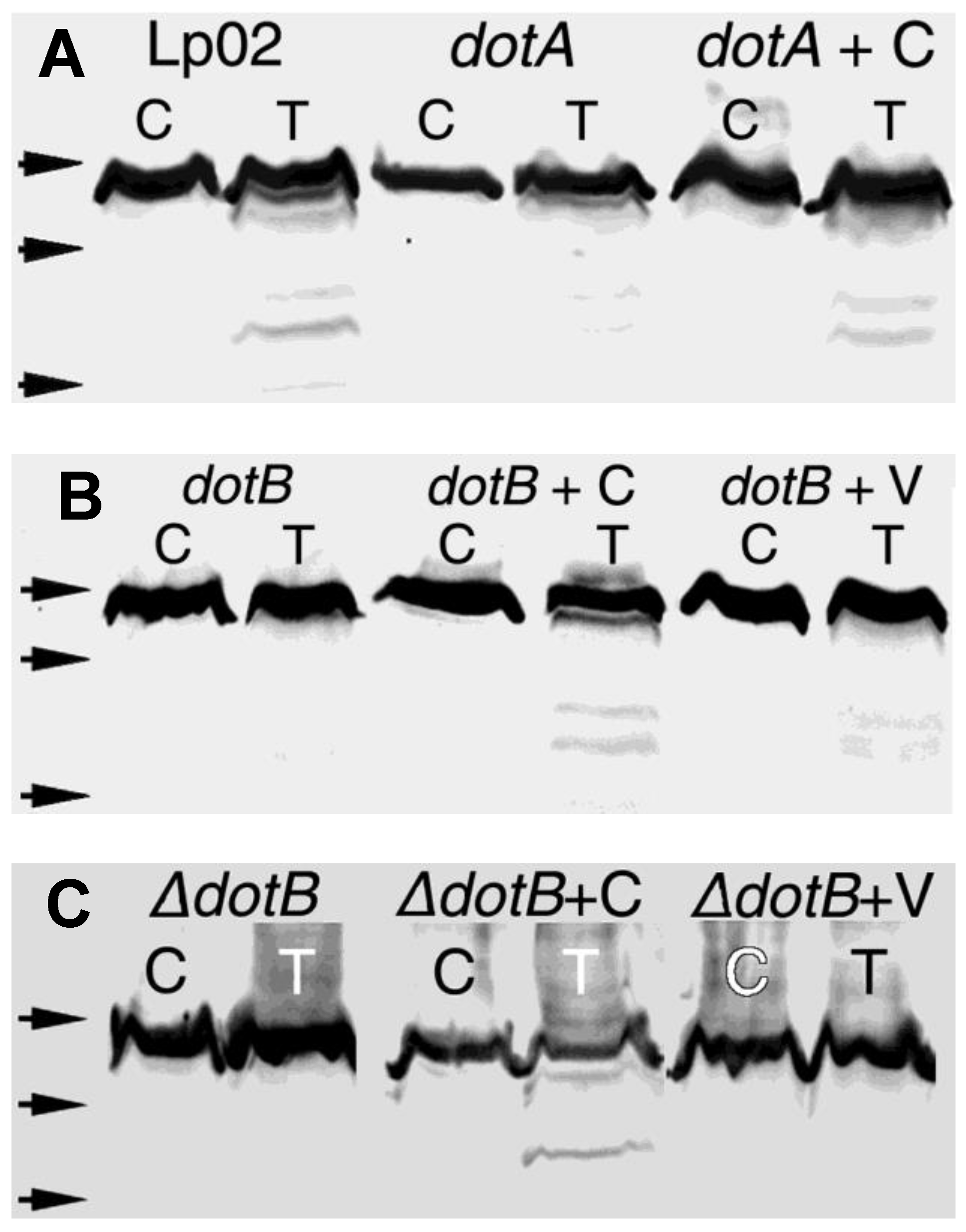 Biomolecules 15 00091 g002 Biomolecules 15 00091 g002