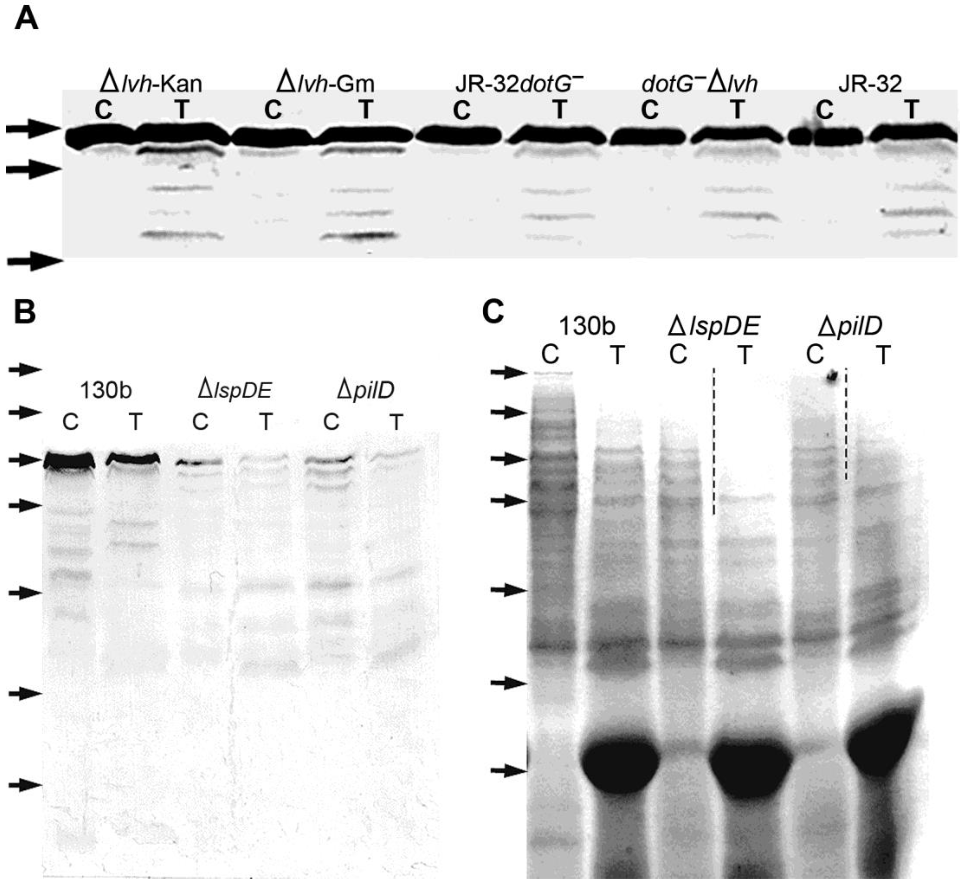 Biomolecules 15 00091 g003 Biomolecules 15 00091 g003