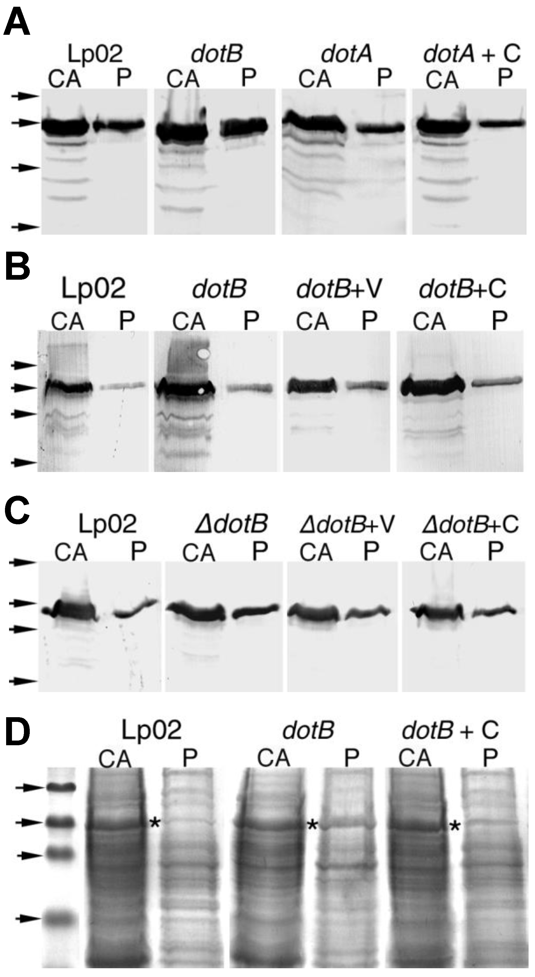Biomolecules 15 00091 g004 Biomolecules 15 00091 g004