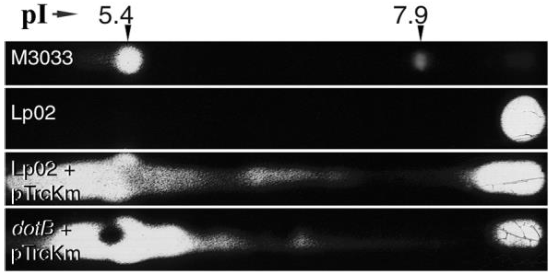 Biomolecules 15 00091 g005 Biomolecules 15 00091 g005