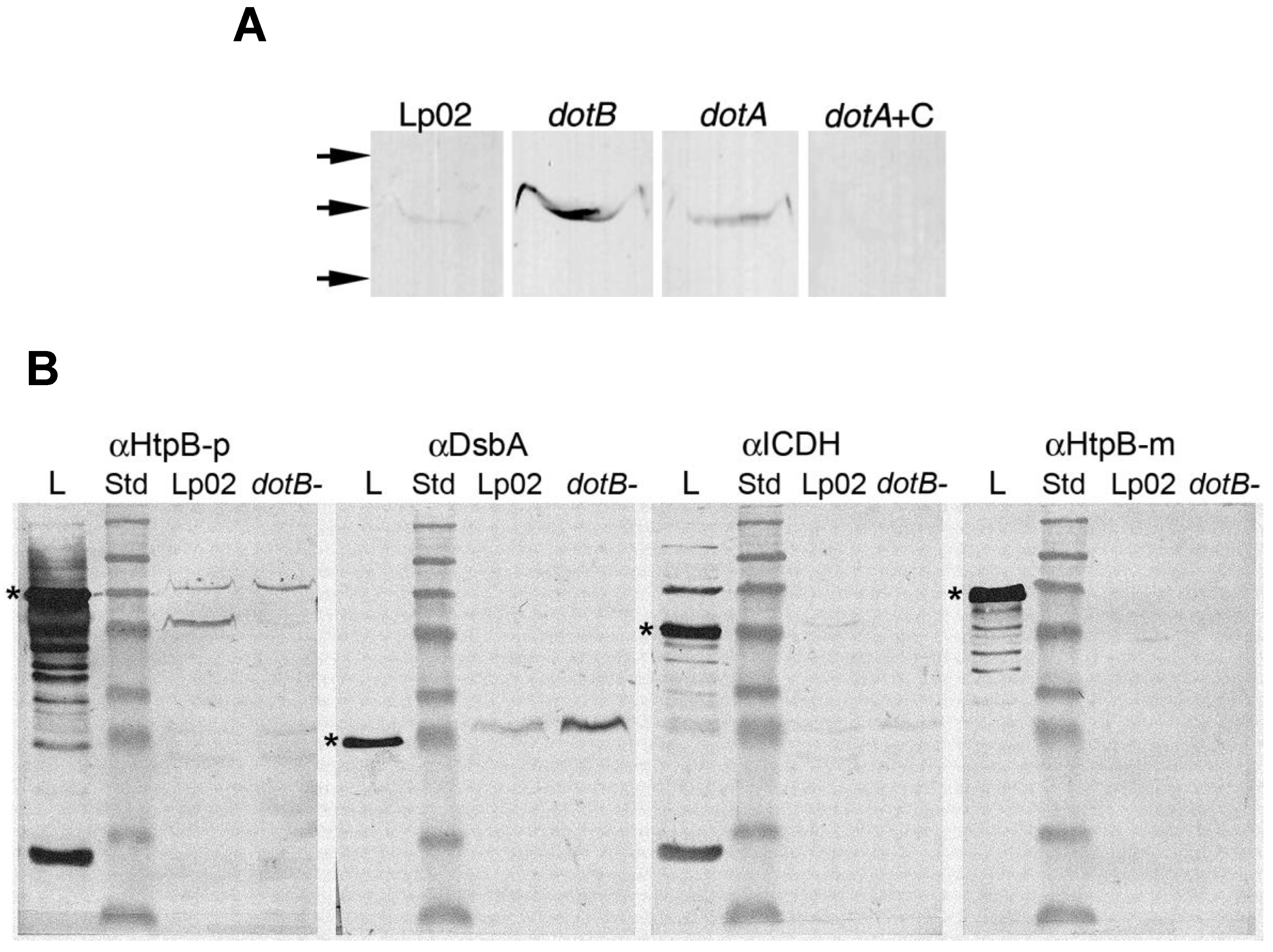 Biomolecules 15 00091 g006 Biomolecules 15 00091 g006