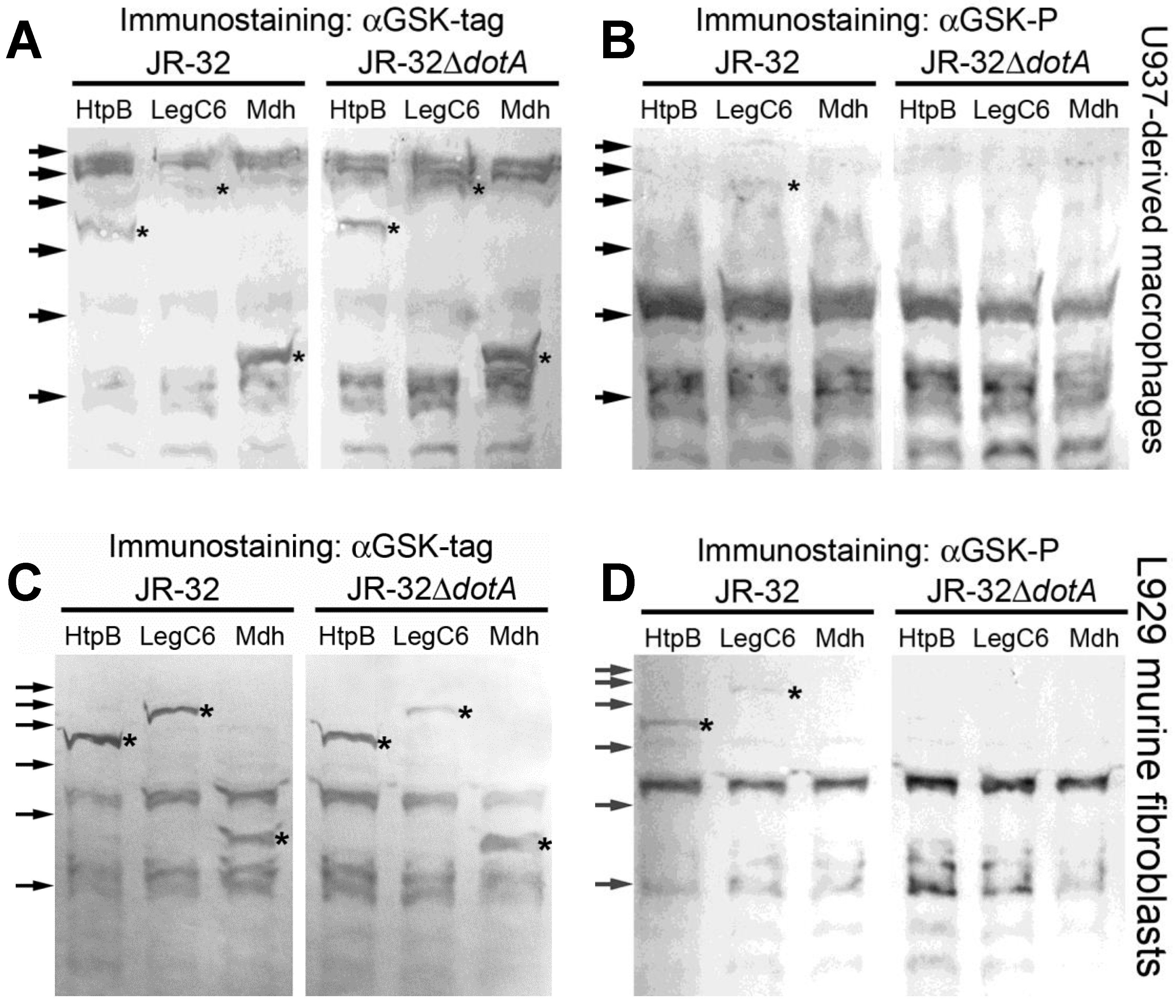 Biomolecules 15 00091 g007 Biomolecules 15 00091 g007