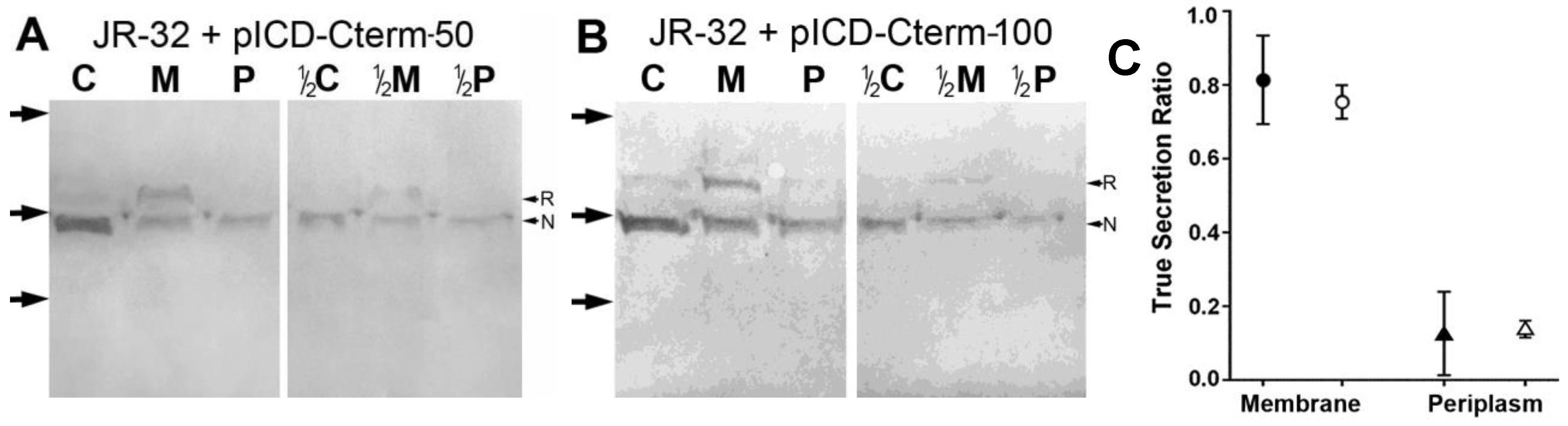 Biomolecules 15 00091 g009 Biomolecules 15 00091 g009