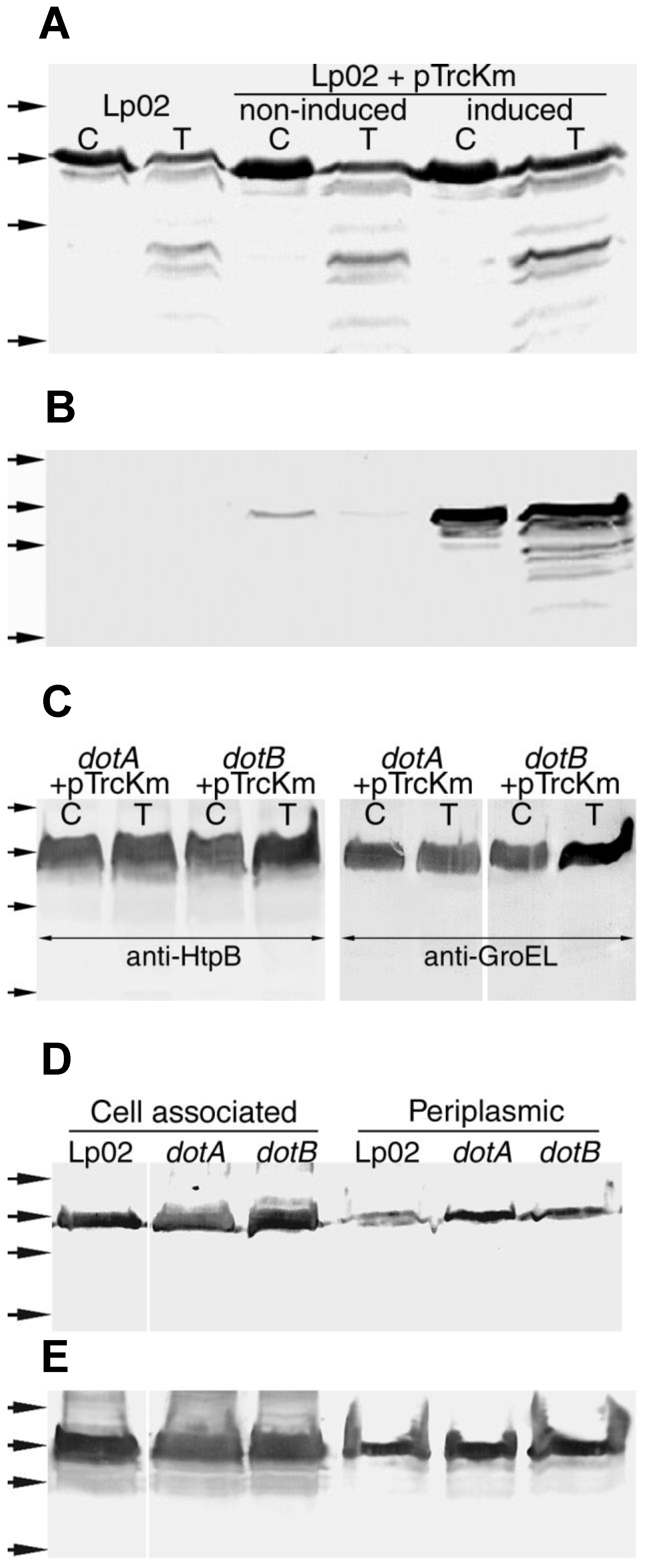 Biomolecules 15 00091 g010 Biomolecules 15 00091 g010