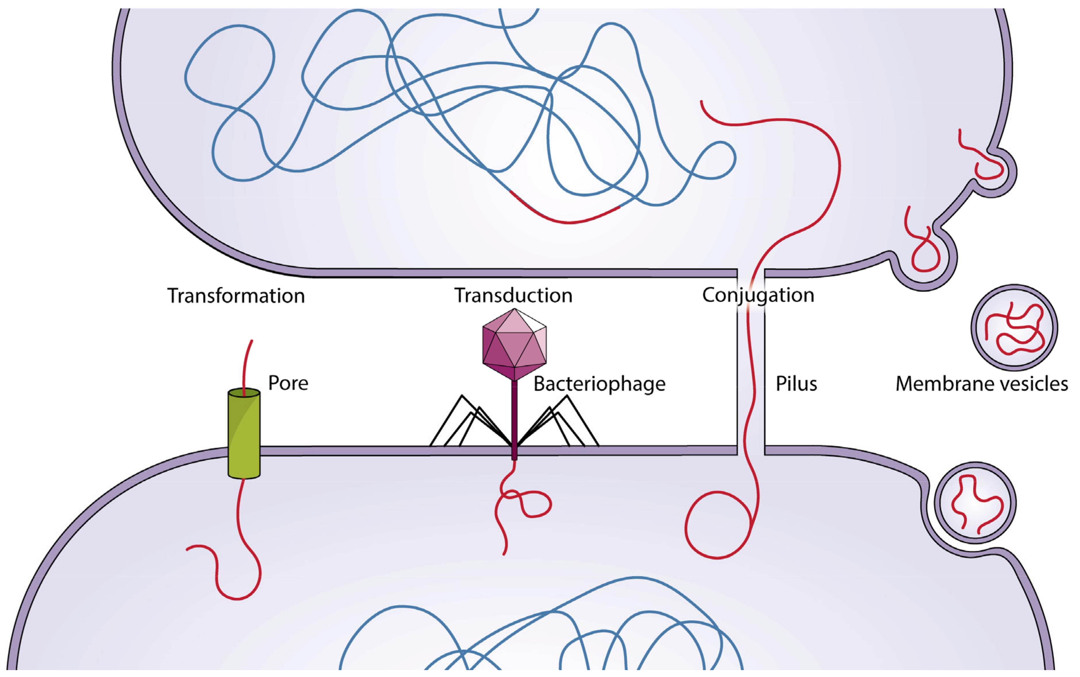 Biomolecules 15 00093 g003