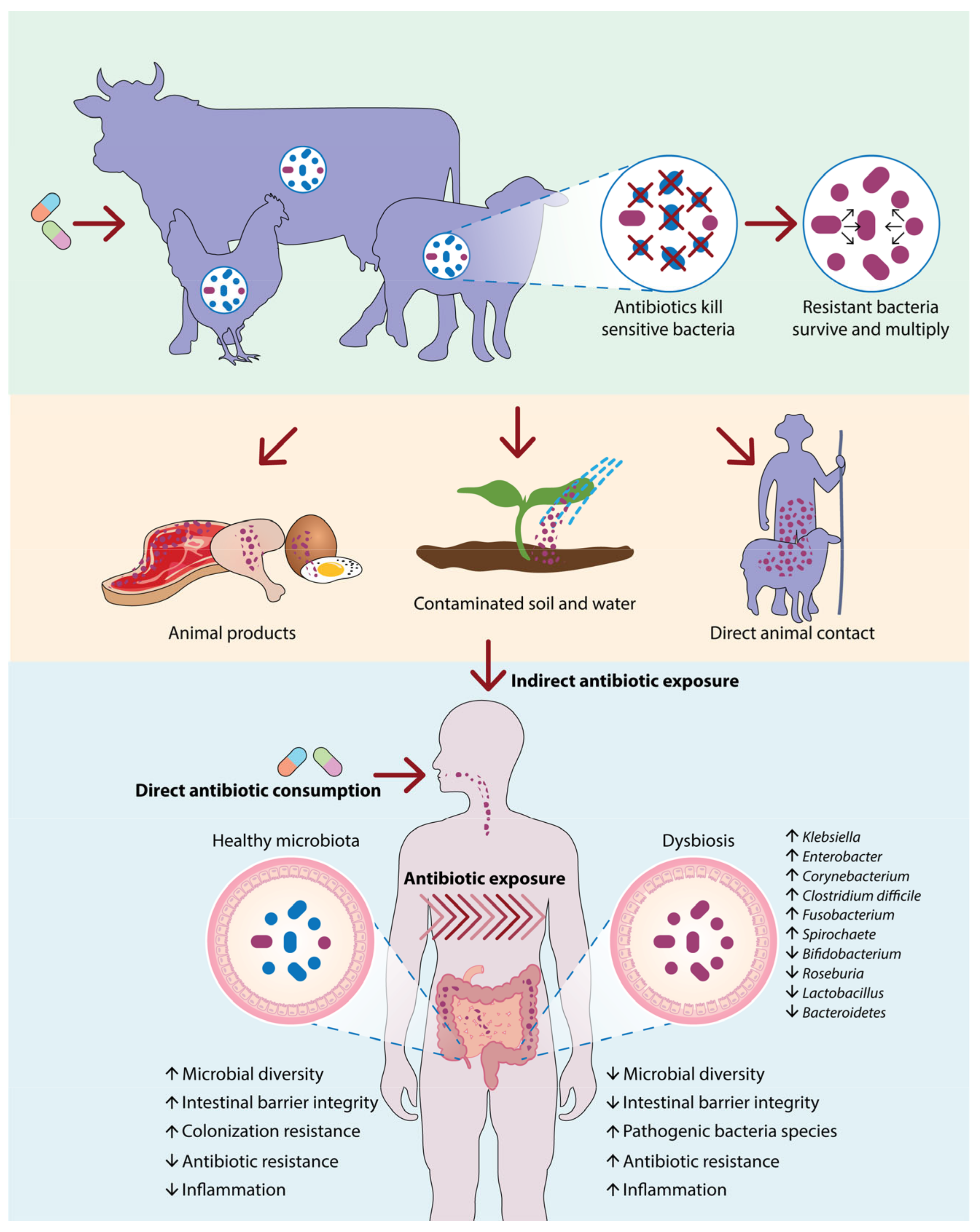 Biomolecules 15 00093 g004