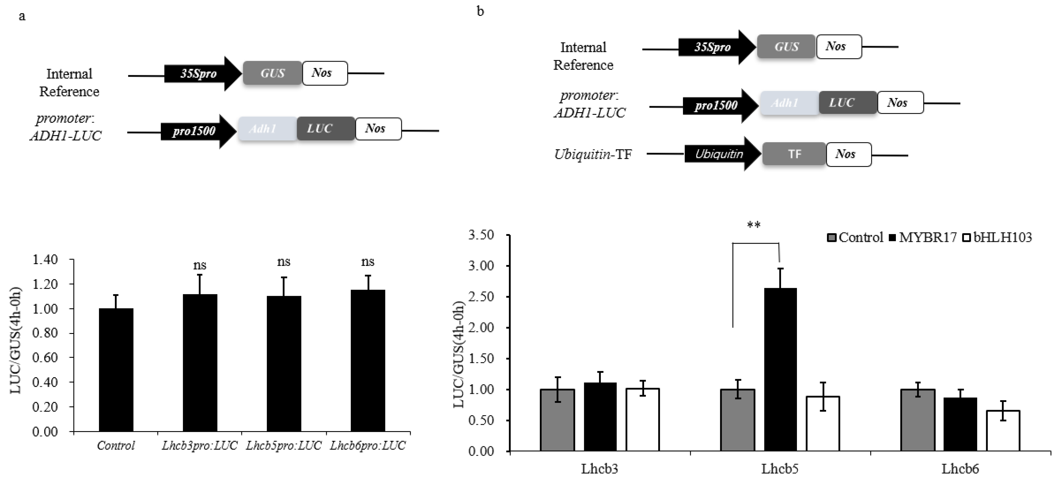 Biomolecules 15 00094 g002