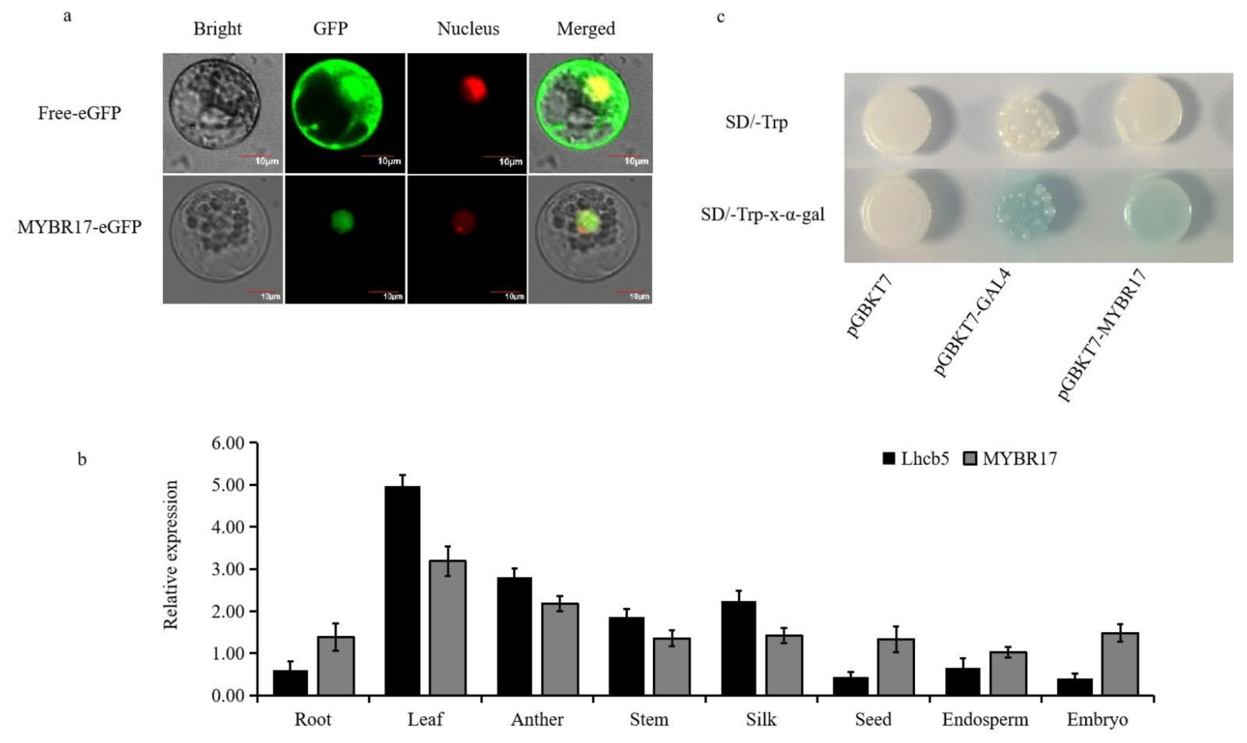 Biomolecules 15 00094 g003