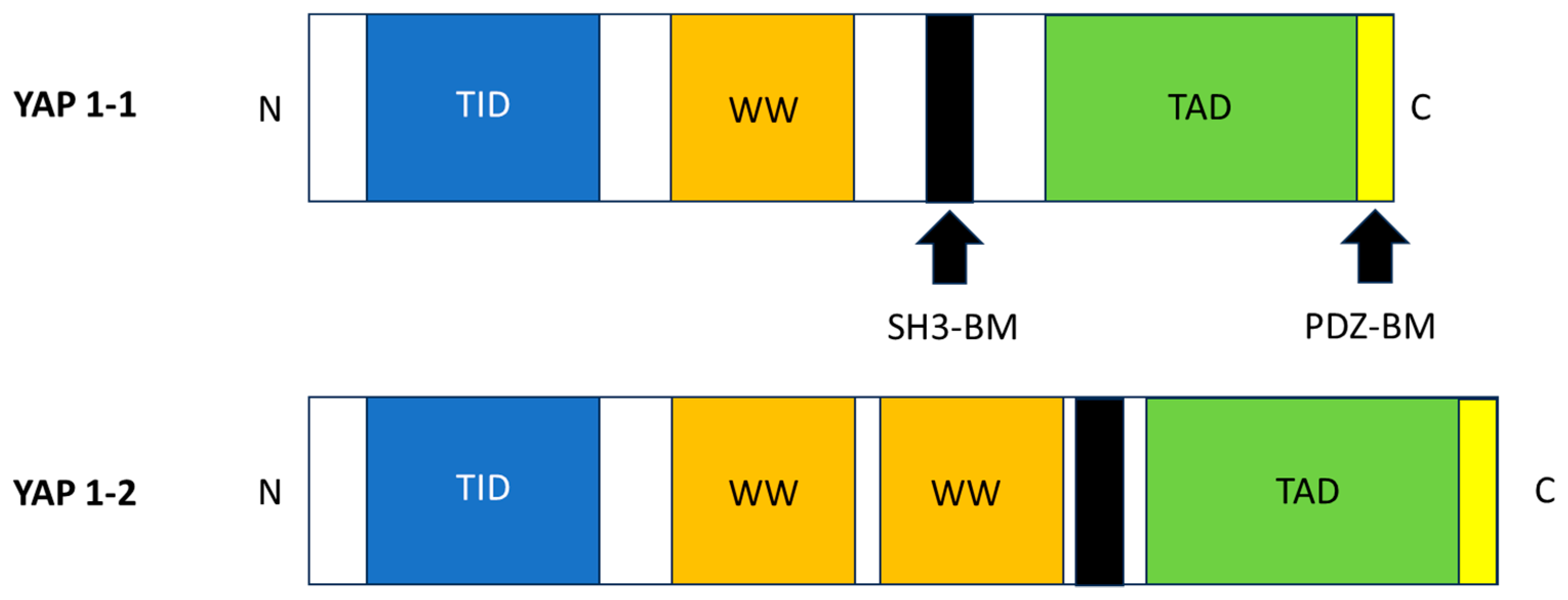 Biomolecules 15 00096 g001