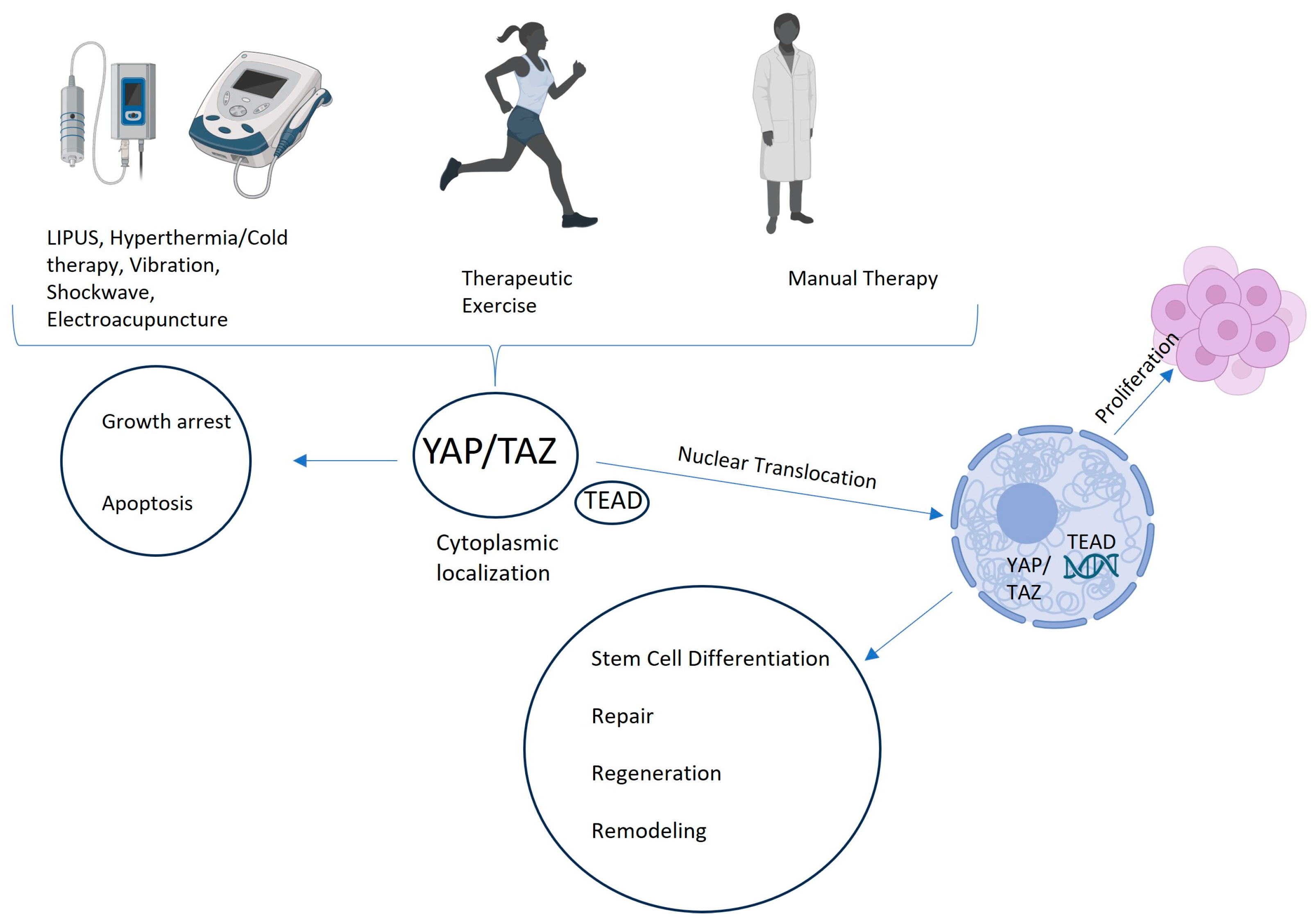 Biomolecules 15 00096 g003