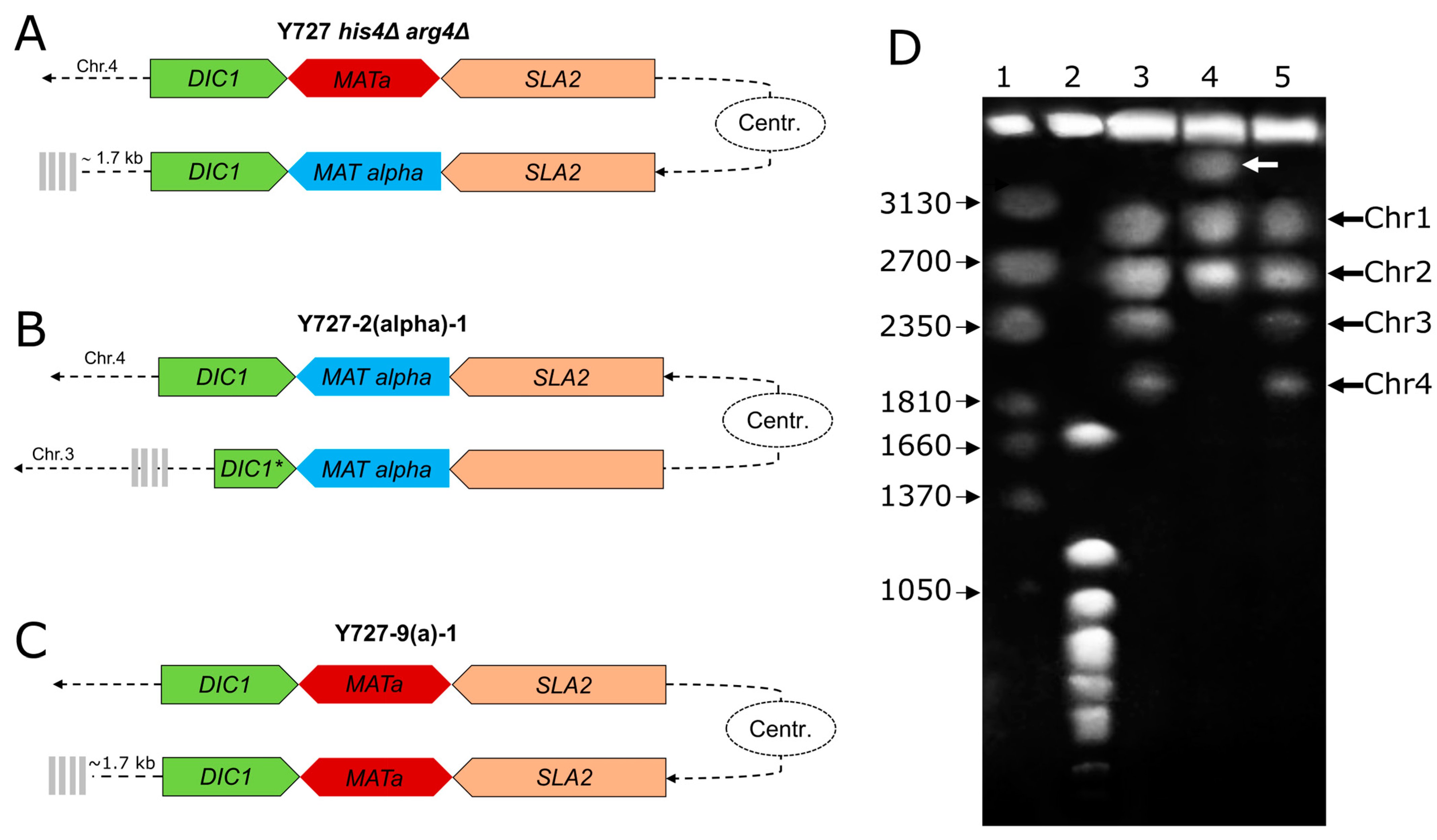 Biomolecules 15 00097 g004