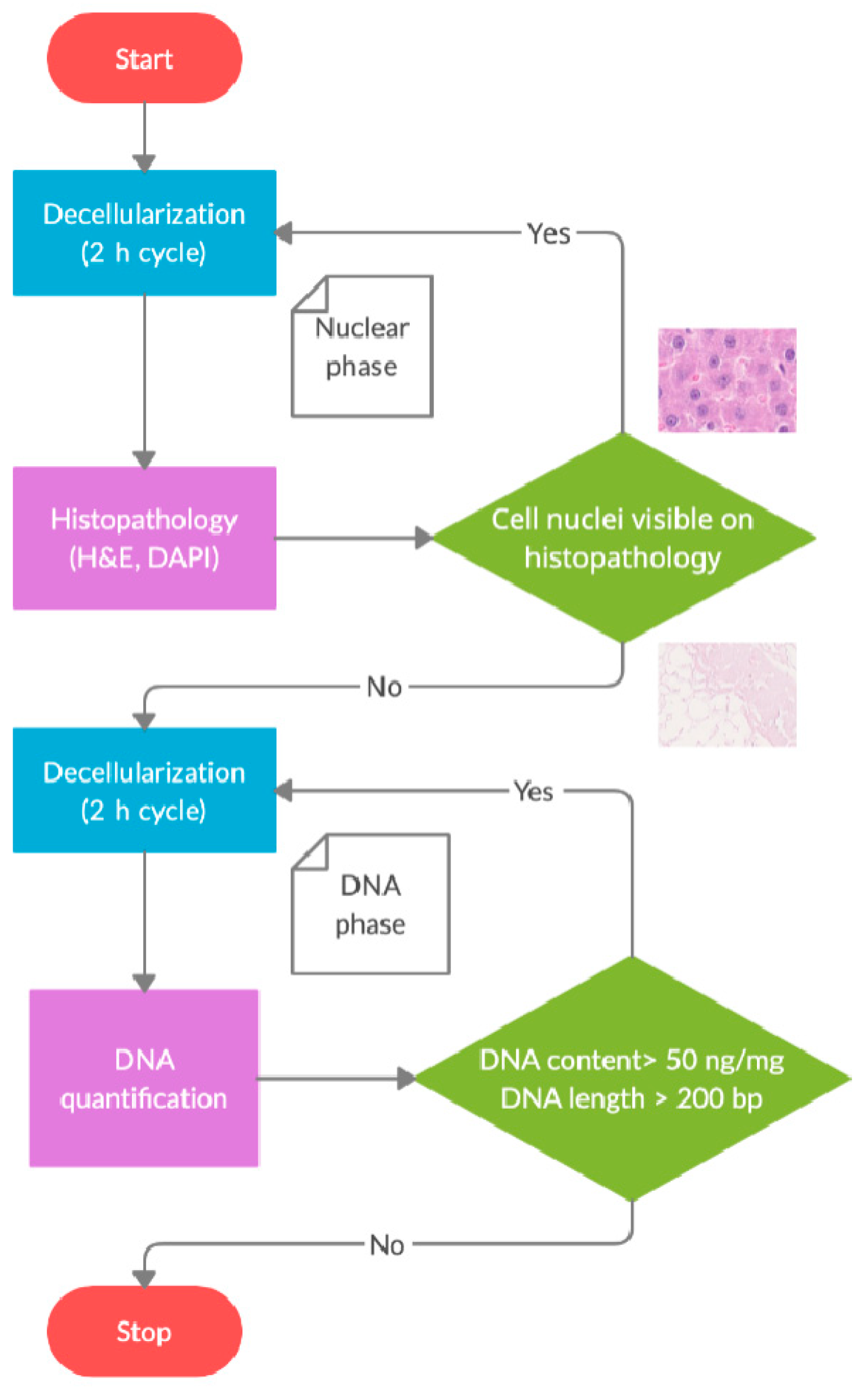 Biomolecules 15 00098 g001