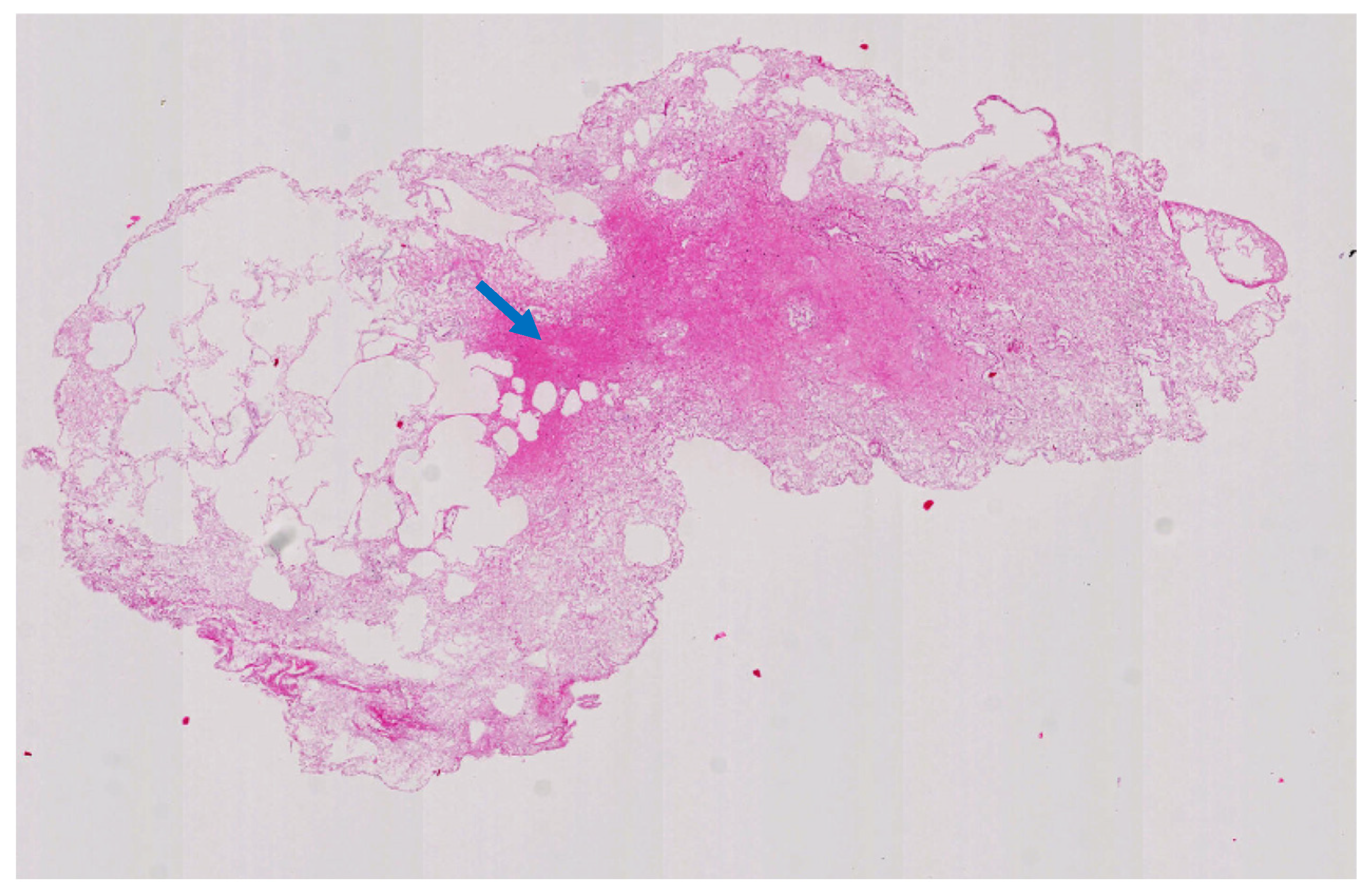 Biomolecules 15 00098 g003