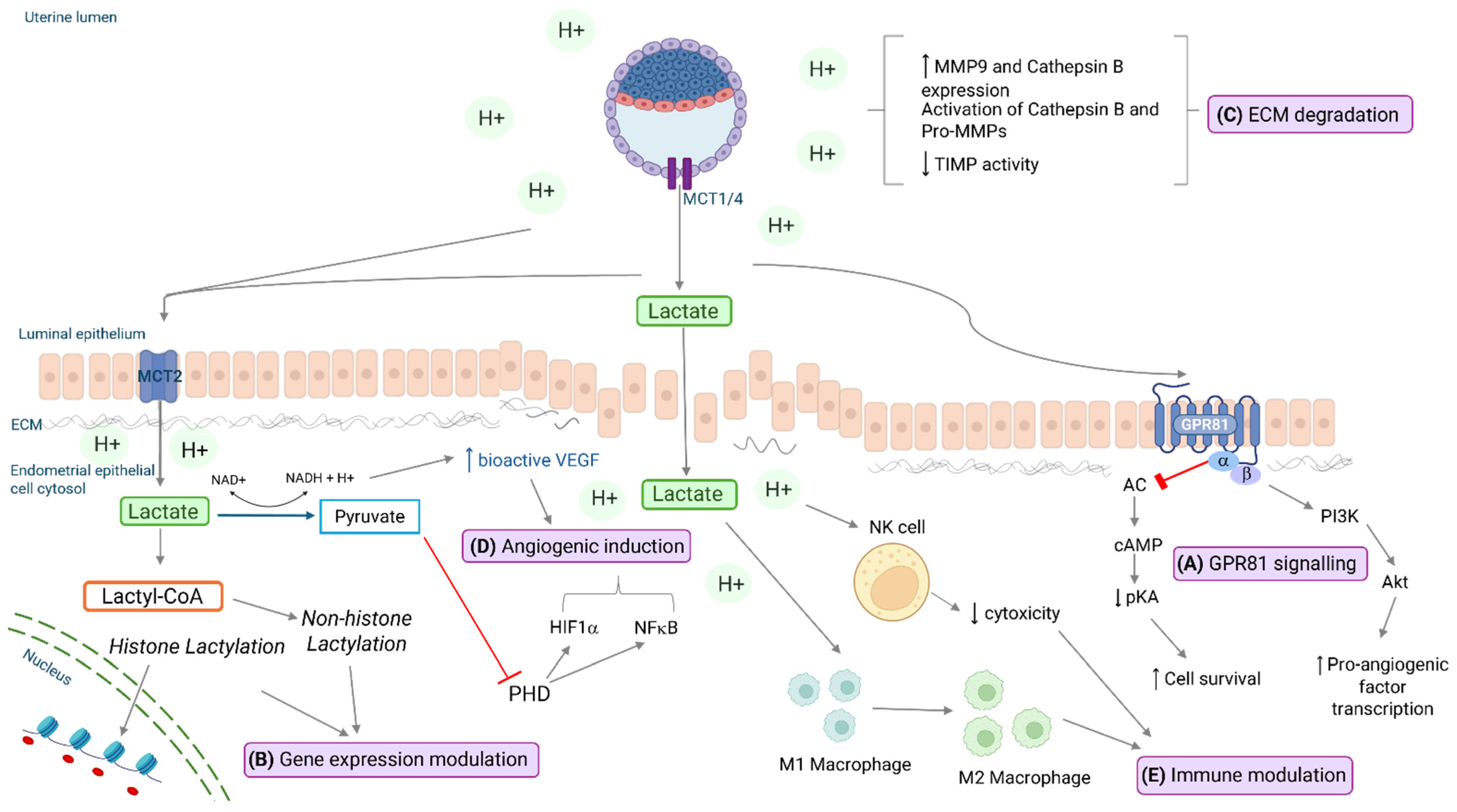 Biomolecules 15 00100 g002