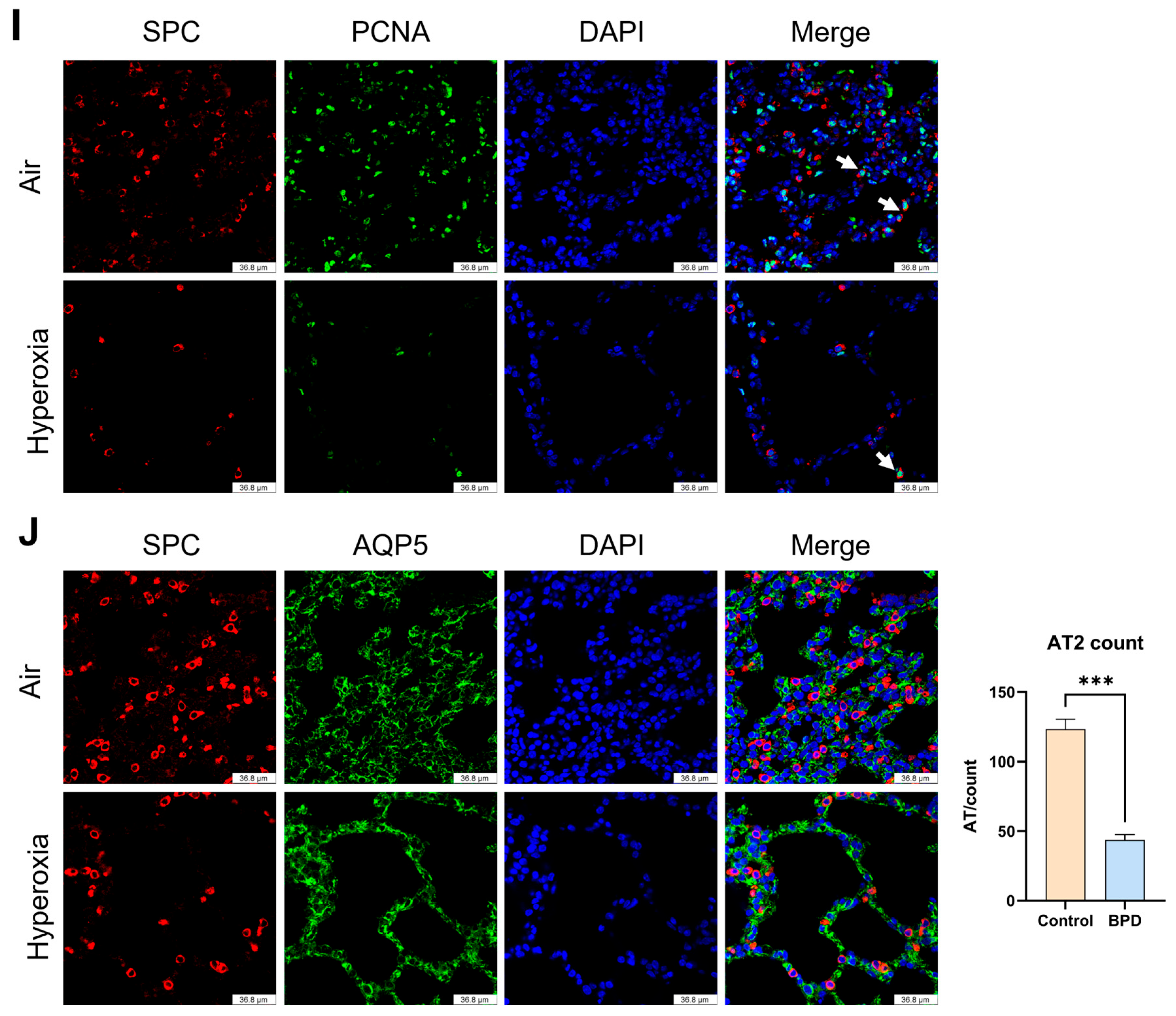 Biomolecules 15 00101 g001b