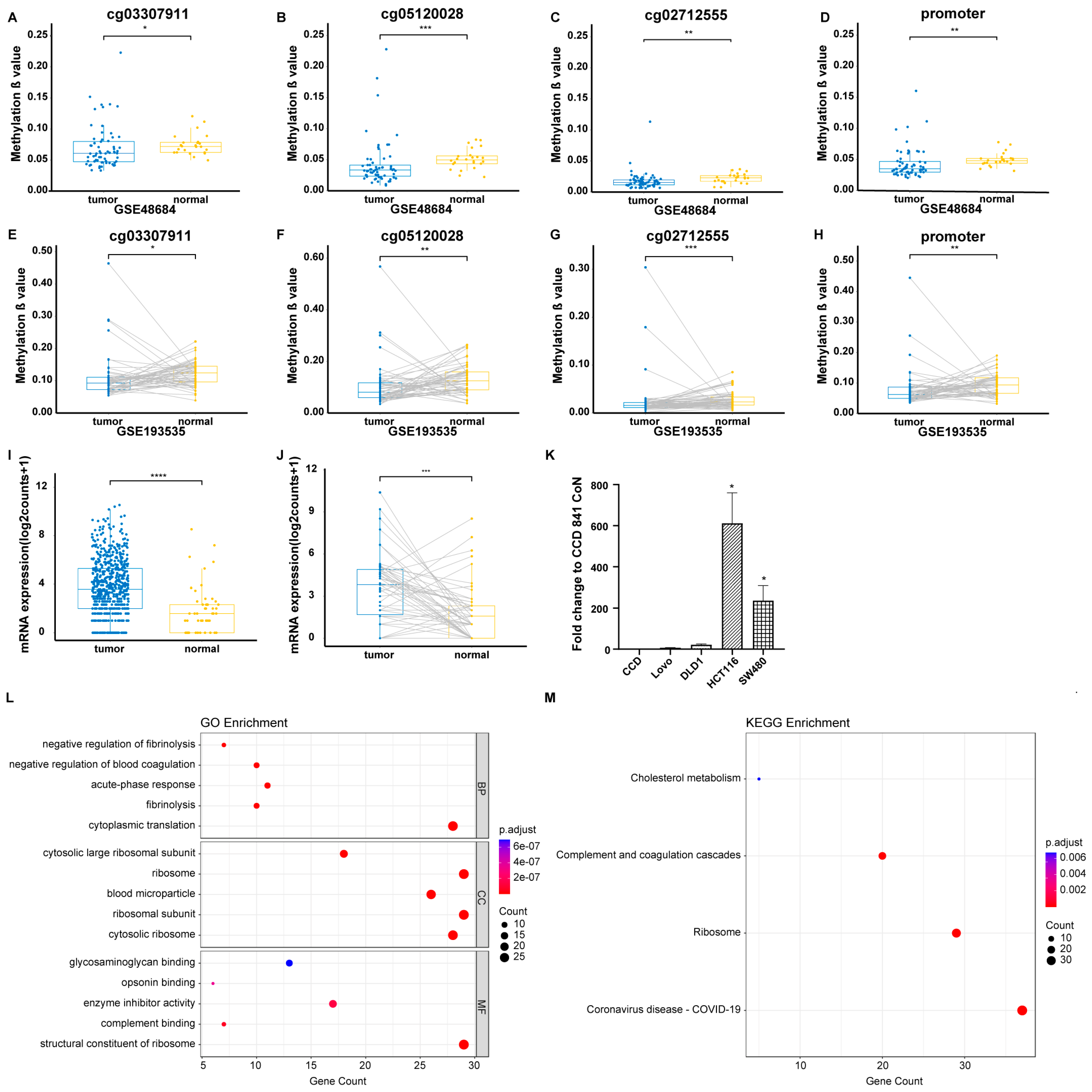 Biomolecules 15 00104 g001