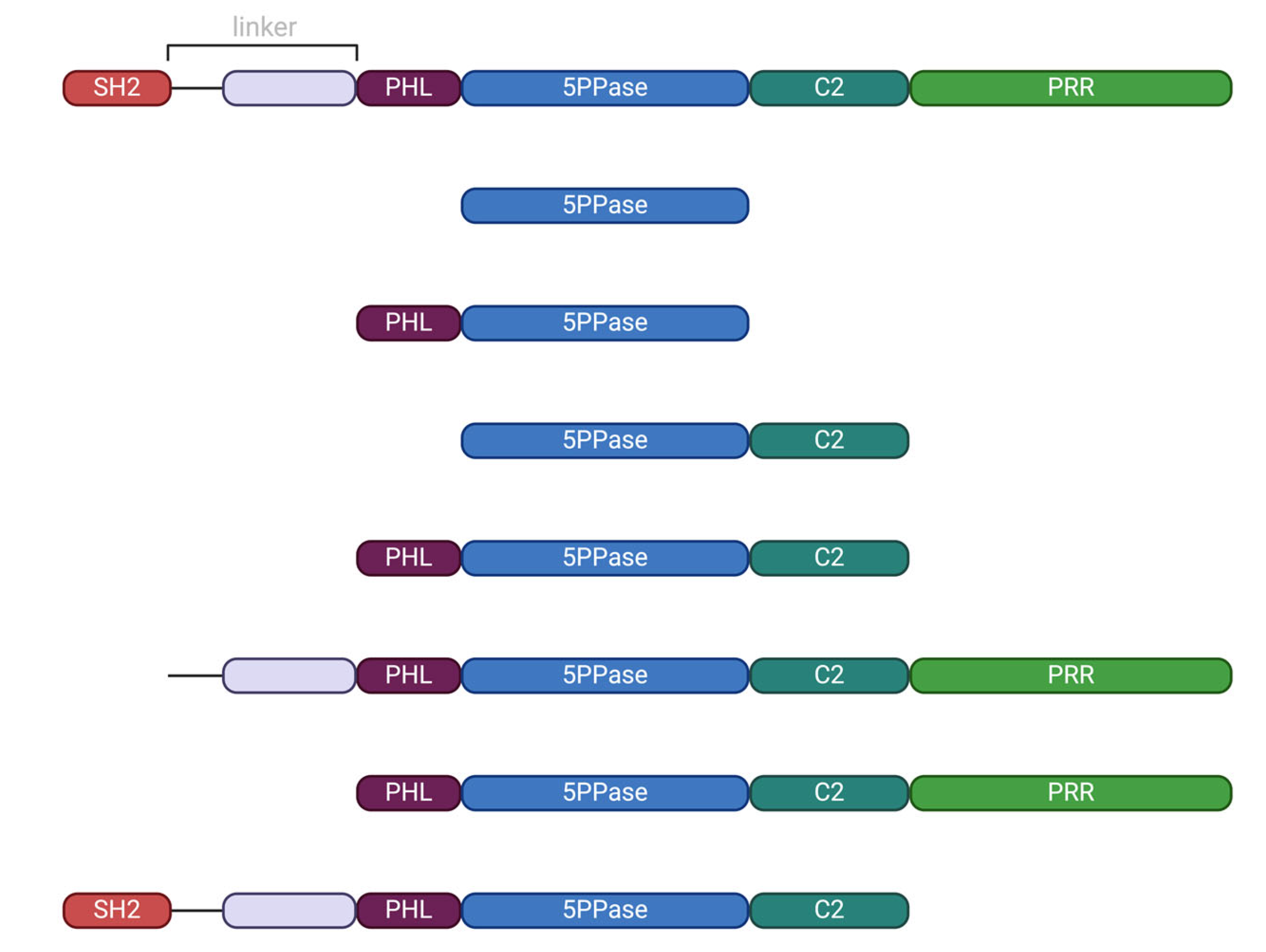 Biomolecules 15 00105 g001