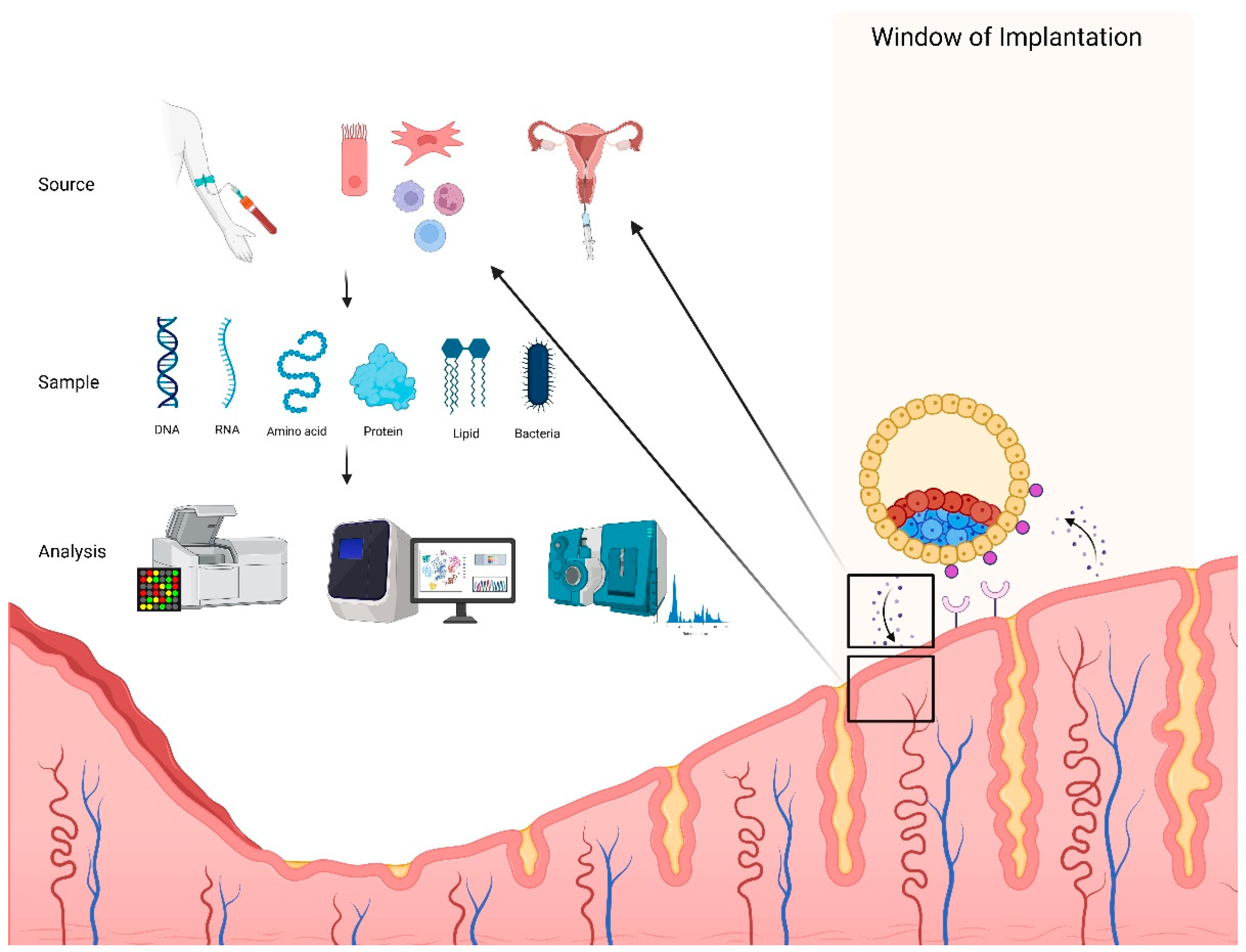 Biomolecules 15 00106 g001 Biomolecules 15 00106 g001