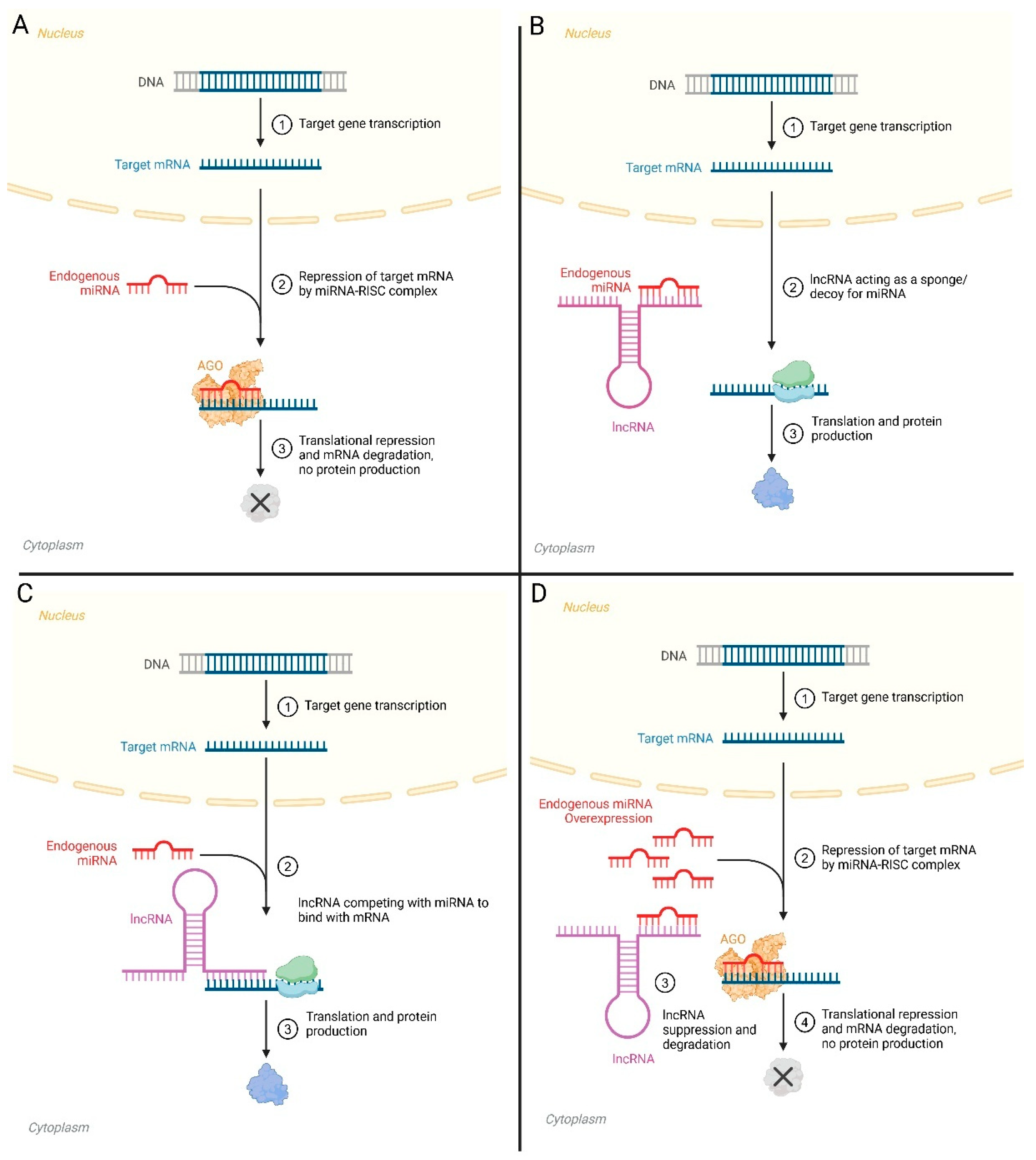 Biomolecules 15 00106 g002 Biomolecules 15 00106 g002