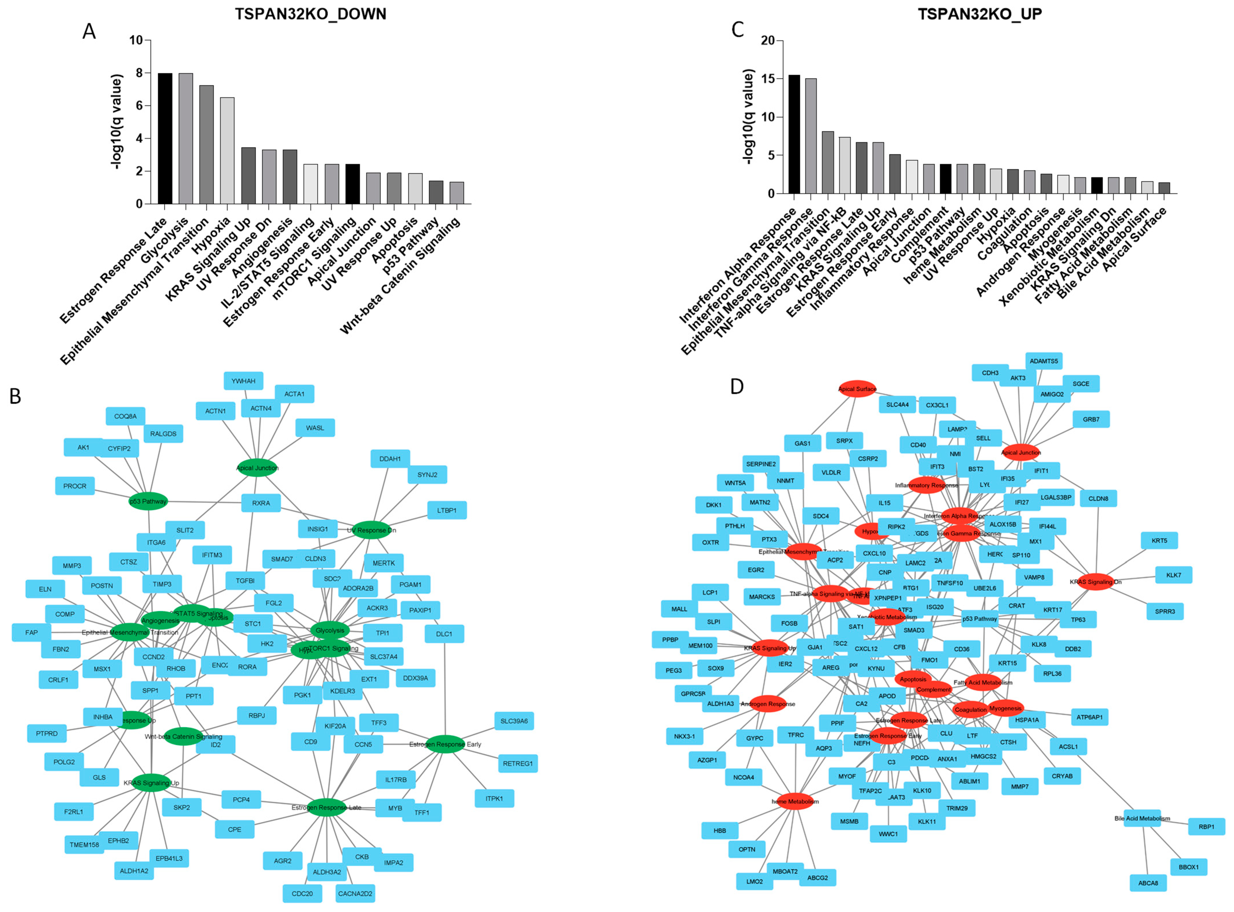Biomolecules 15 00107 g006