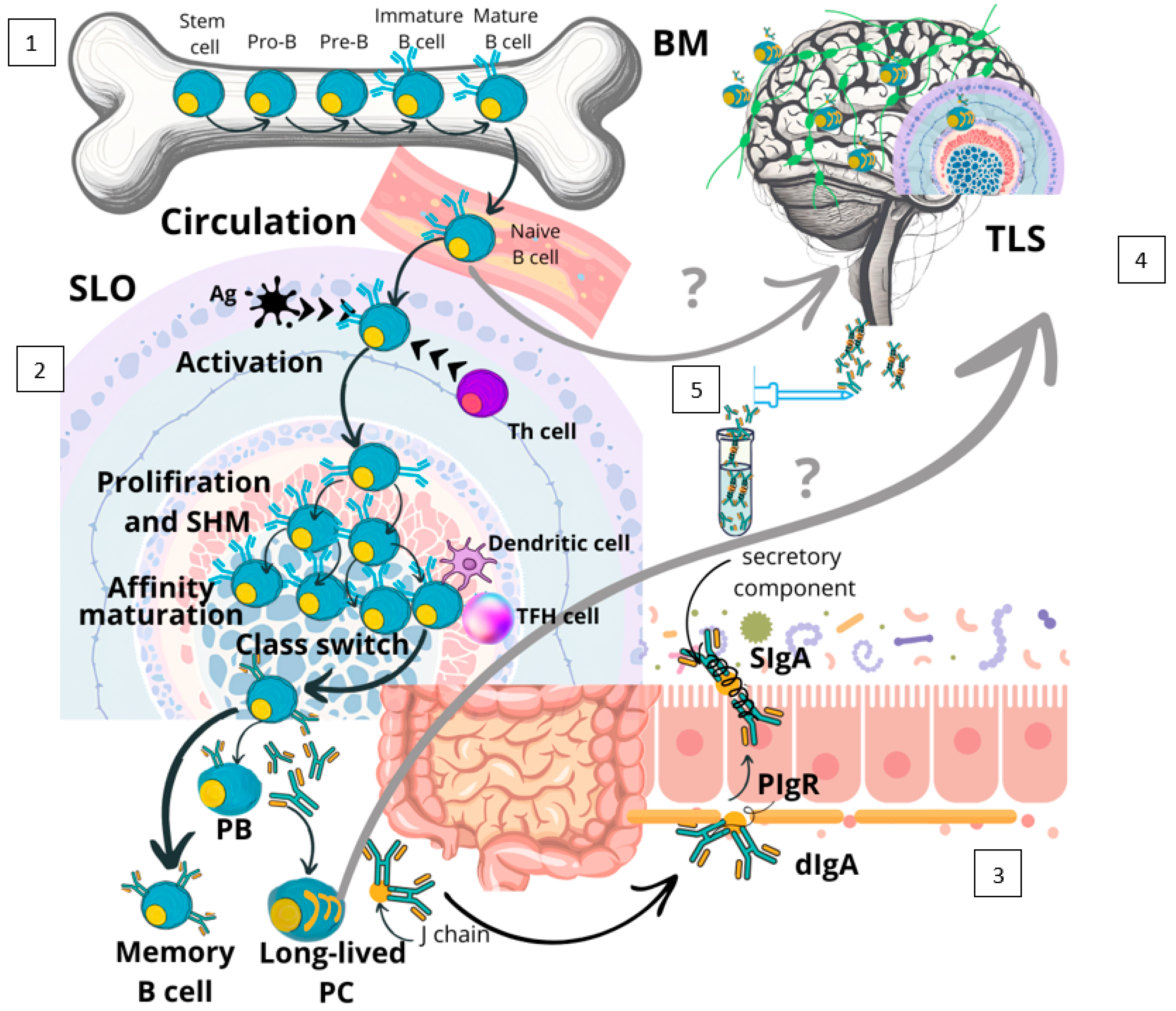 Biomolecules 15 00108 g001