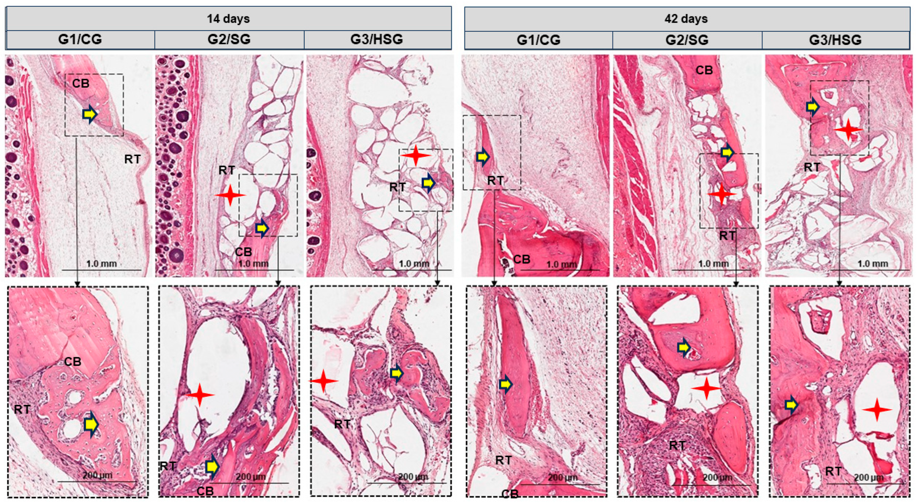 Biomolecules 15 00112 g003
