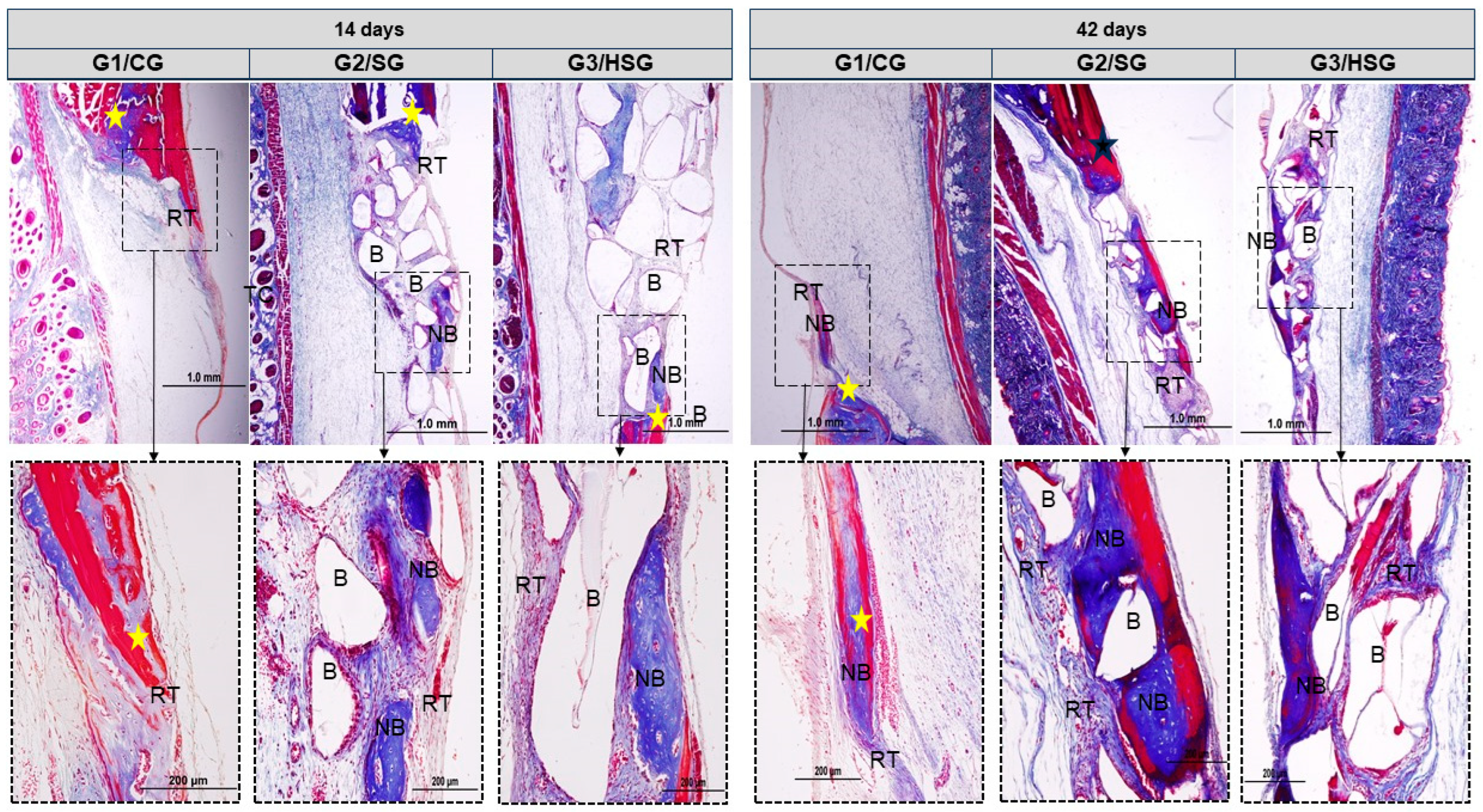 Biomolecules 15 00112 g004