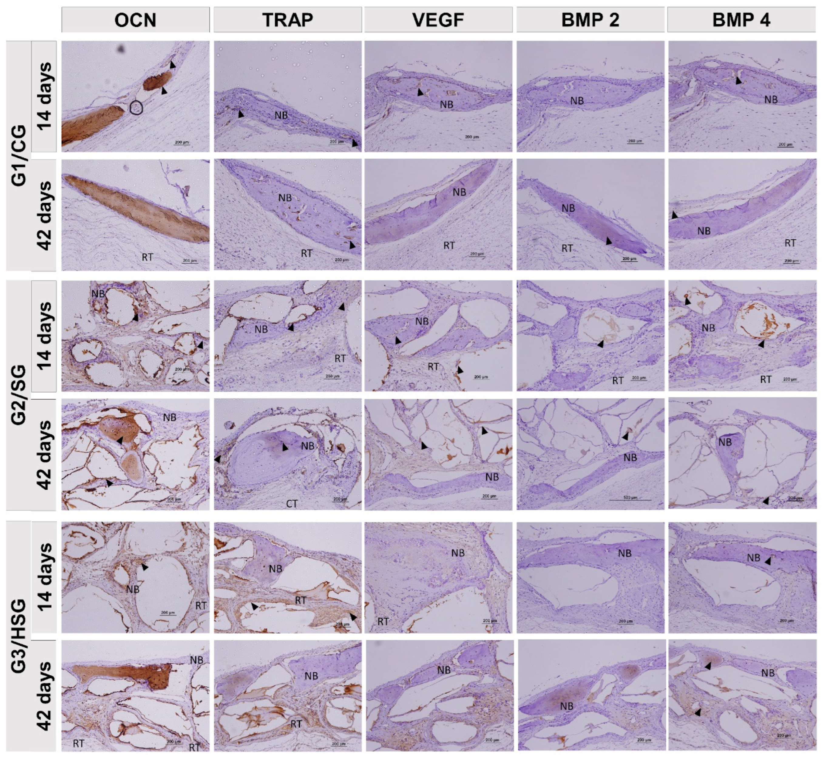 Biomolecules 15 00112 g006