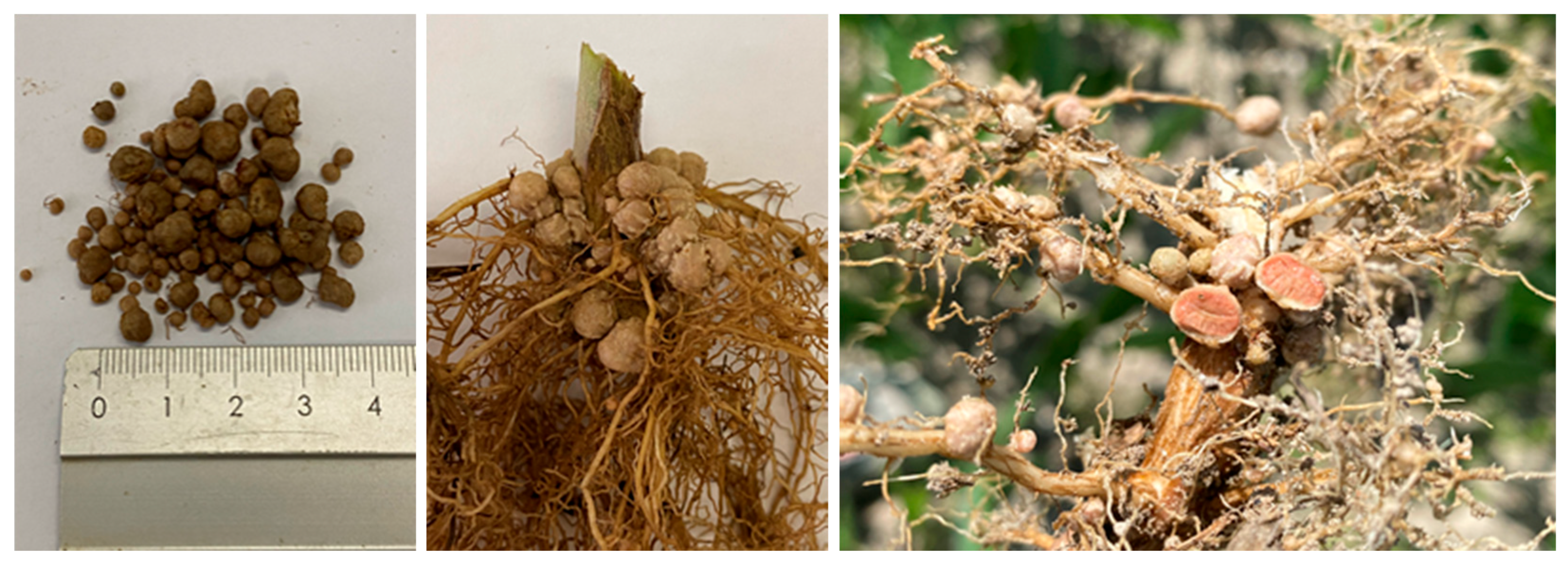 Biomolecules 15 00118 g001