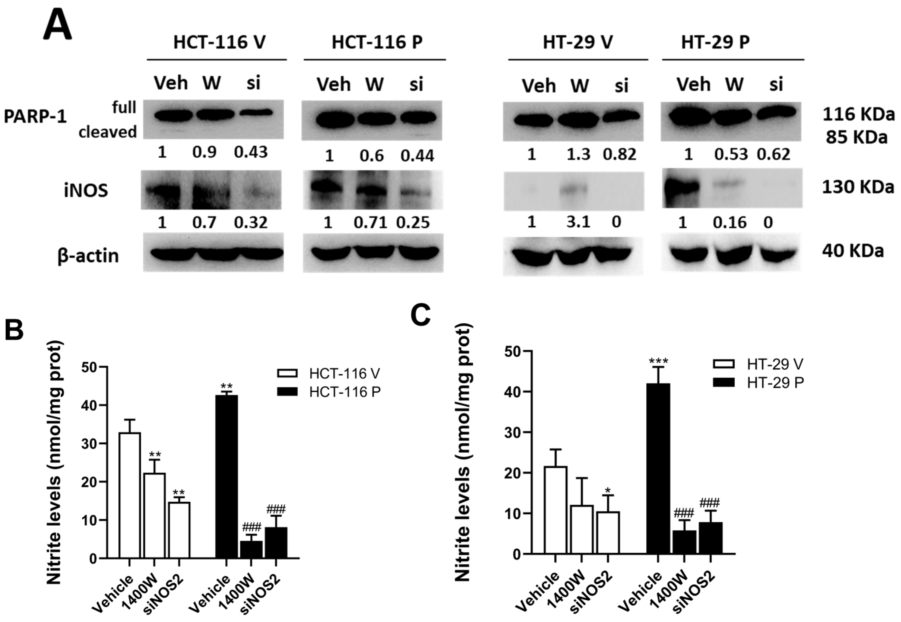 Biomolecules 15 00125 g004